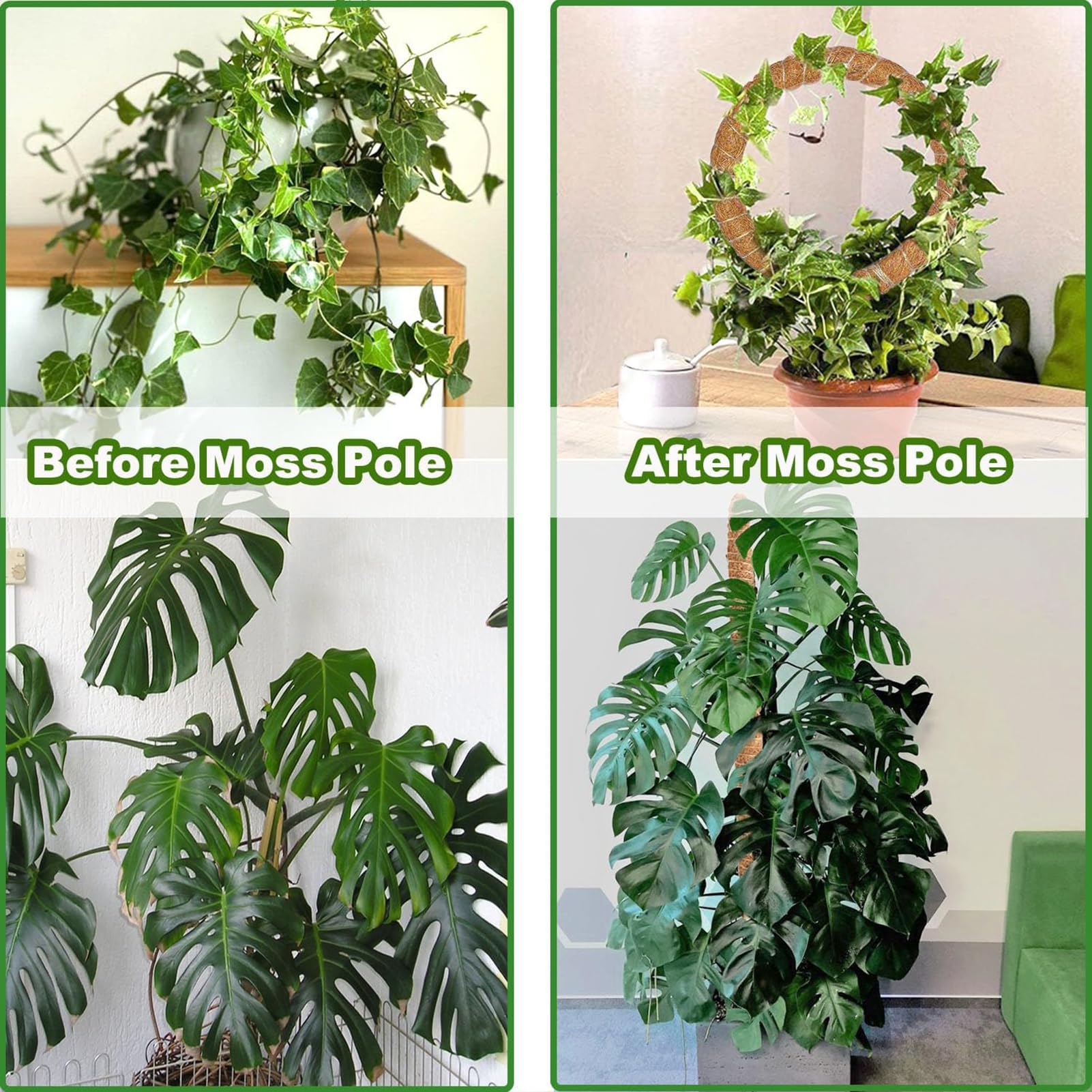 Lot de 2 piquets en mousse pour Monstera, 63,5 cm pour plantes d'intérieur flexibles, avec corde de 1,5 m, idéal pour les plantes grimpantes pour faire pousser des plantes