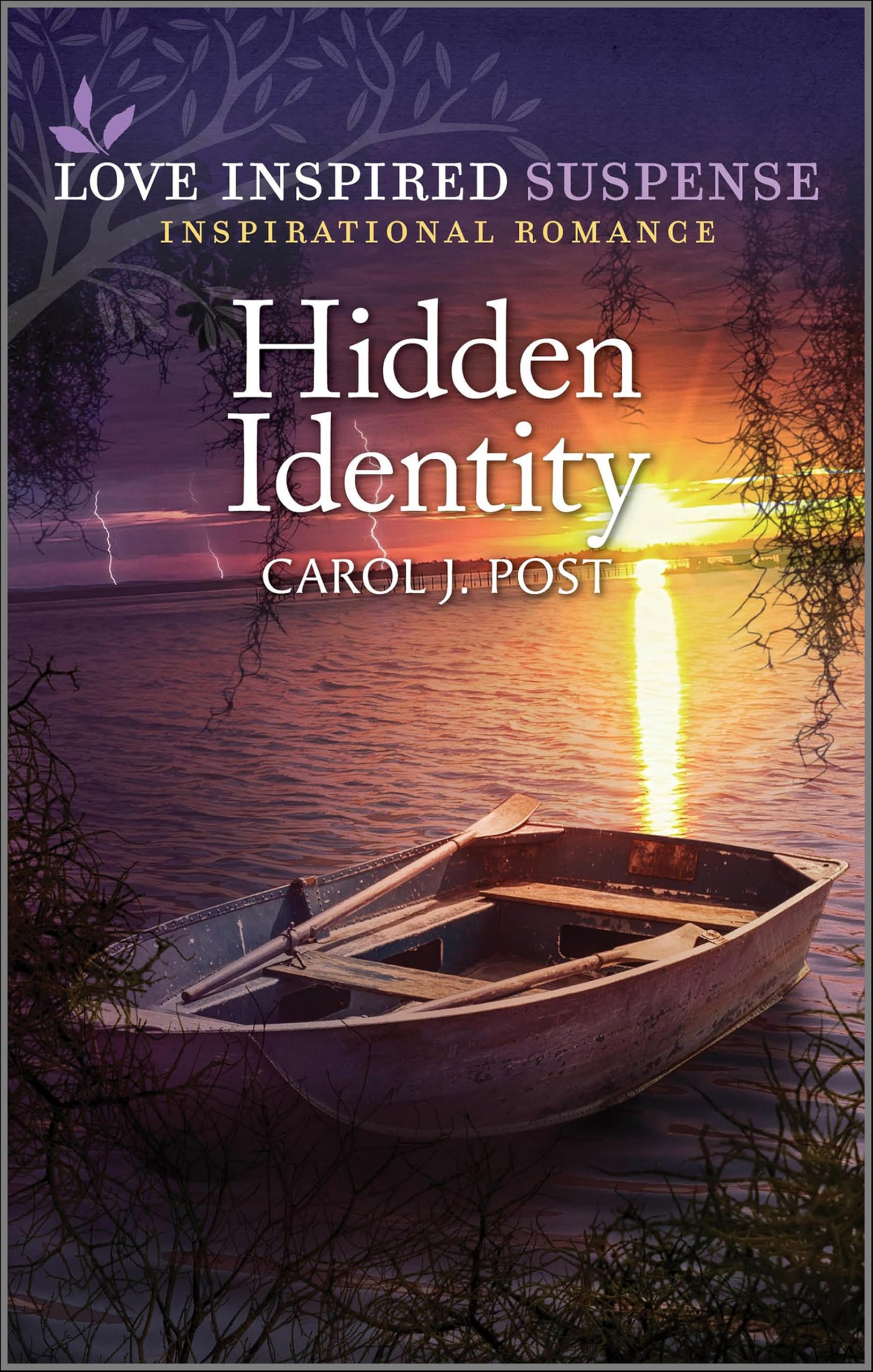 Hidden Identity (English Edition)