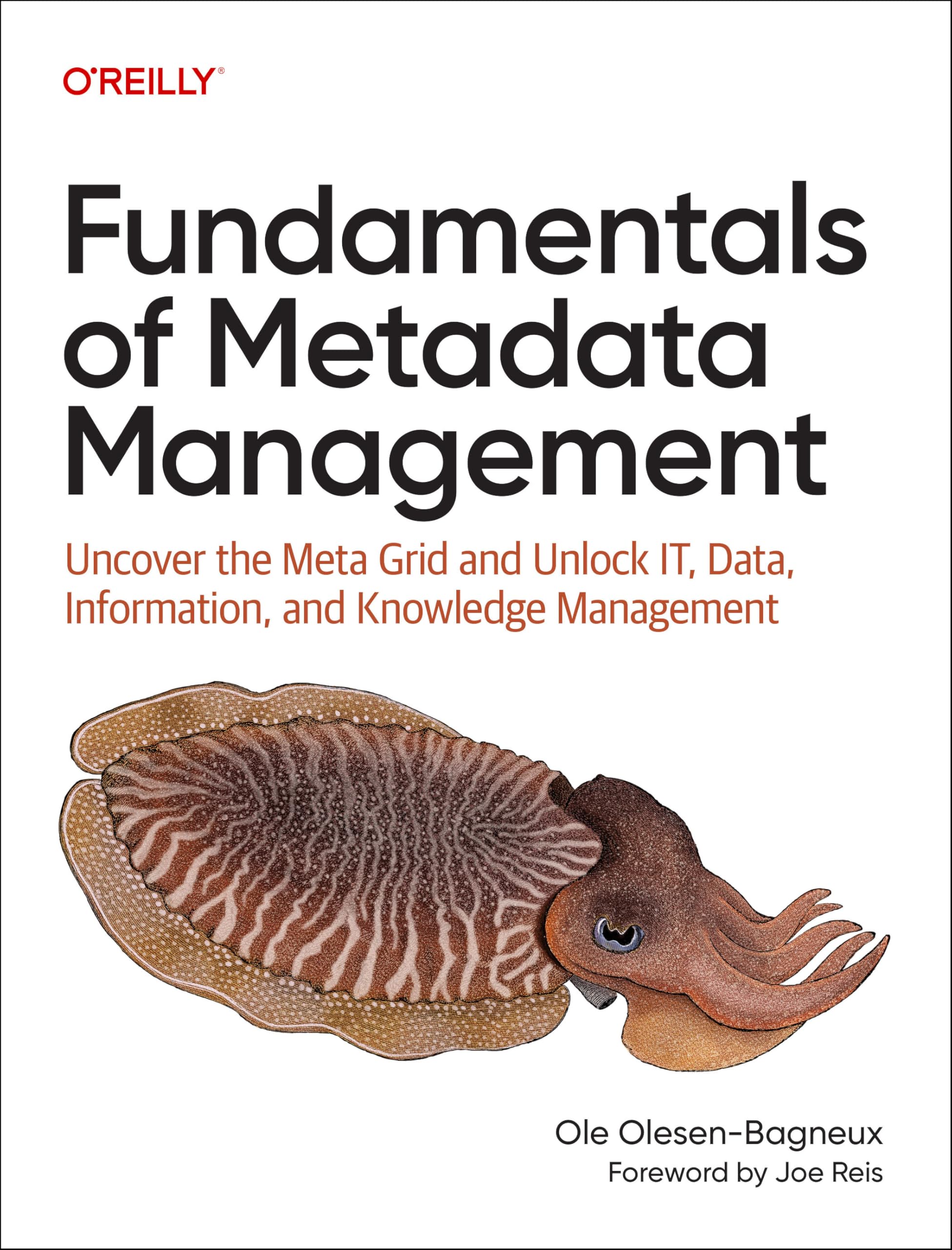 Fundamentals of Metadata Management: Uncover the Meta Grid and Unlock Data, Information, and Knowledge Management