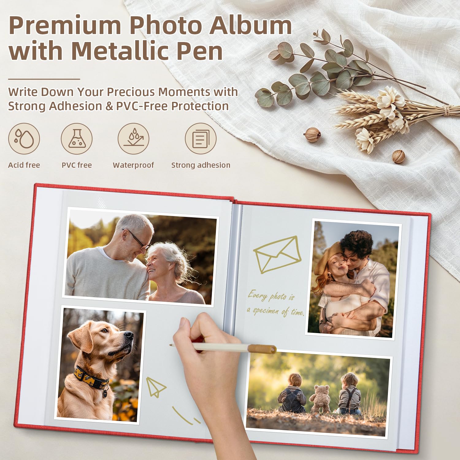 Popotop Clip Photo Holders