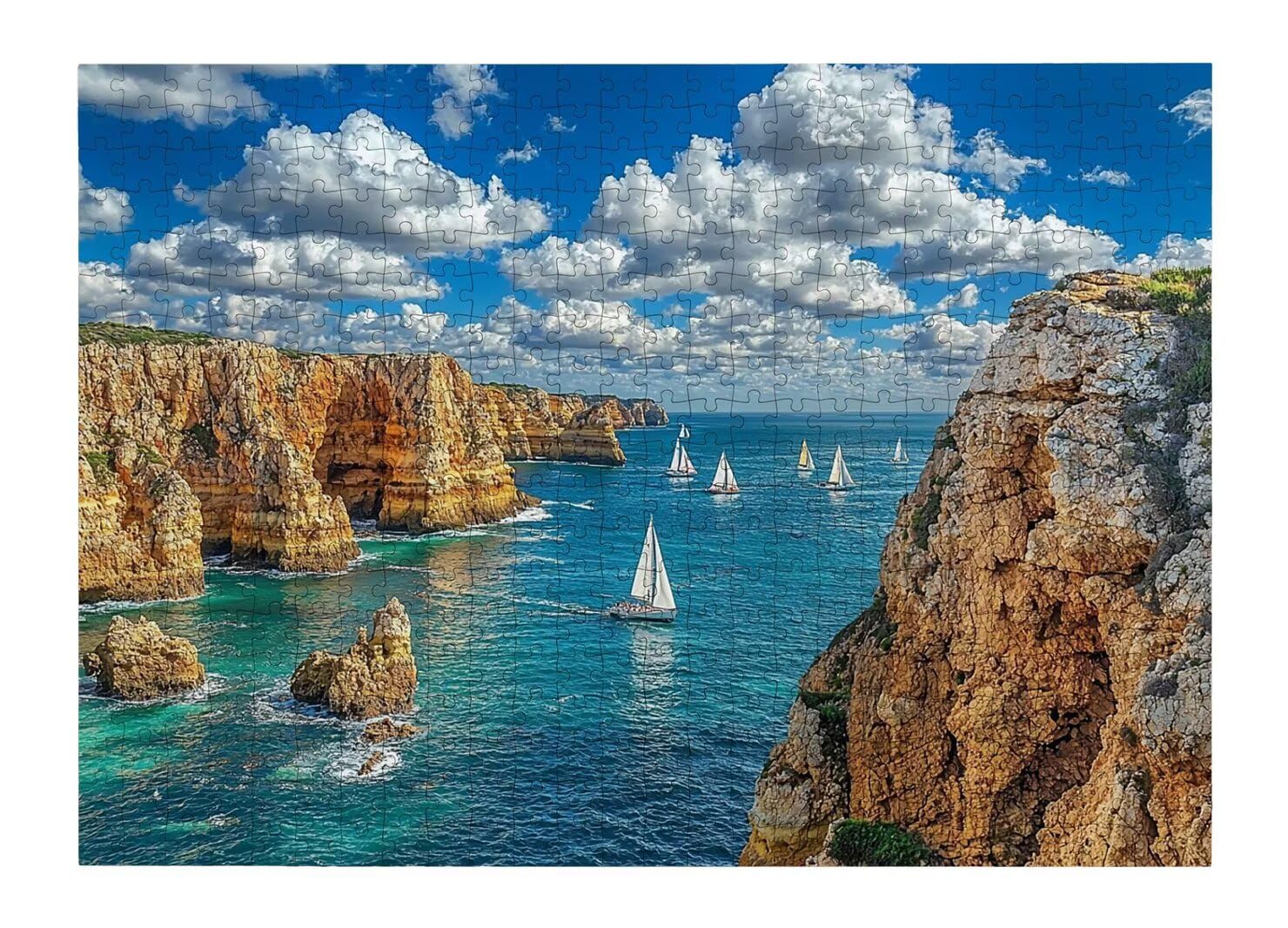 Puzzle 1000 Pezzi, Puzzle Oceano per Adulti, 70x50cm, Compact Box -4498