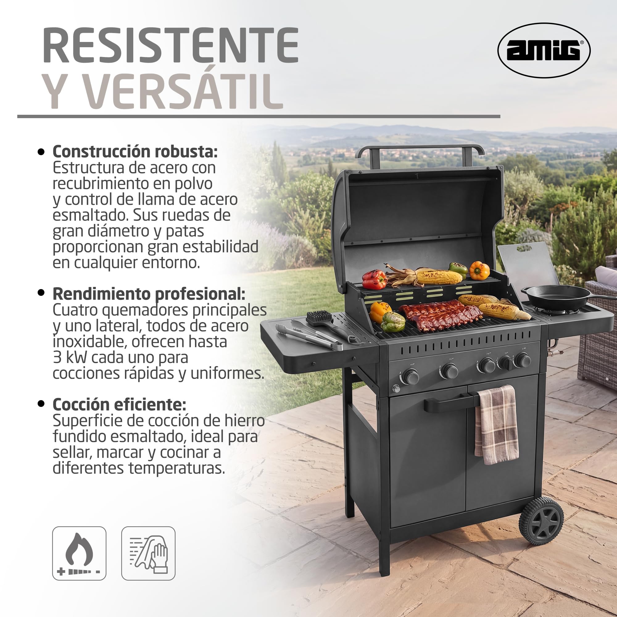 Amig - Barbacoa de Gas IGNIS 4+1 (4 Quemadores + 1 Lateral) - 123 x 55 x 110 cm - Superficie de Cocción 60 x 38 cm - Con Termómetro, Bandejas Laterales, Ruedas y Parrilla de Hierro Fundido - Negro