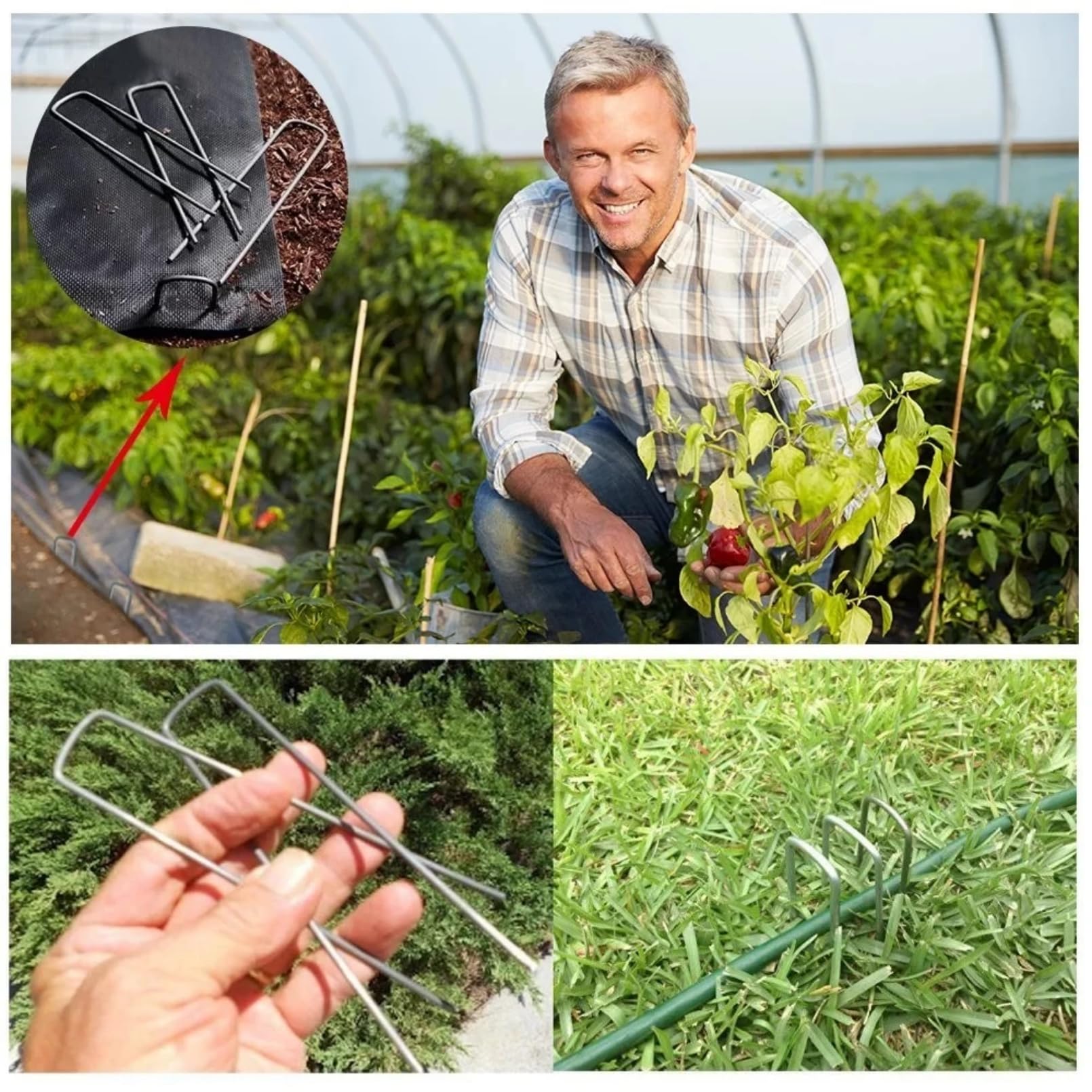 Lot de 200 agrafes de jardin + 200 joints, agrafes de paysage de pelouse de 15,2 cm de calibre 11 galvanisées en forme de U, goupilles de sol robustes pour décoration de tissu de gazon