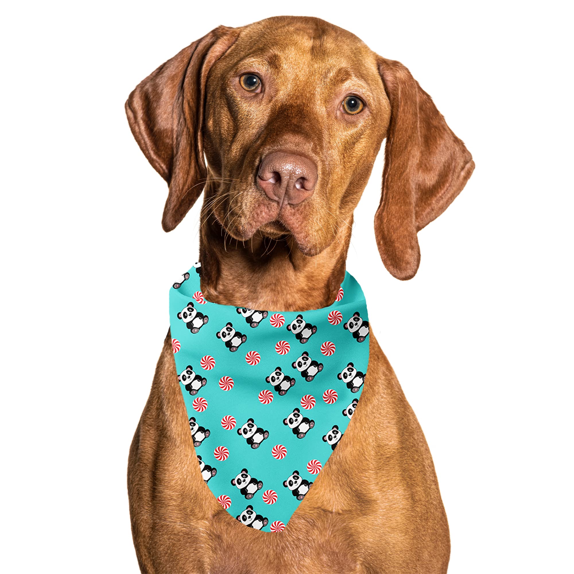 Panda Hundehalstuch - Kühlendes Material - Premium Qualität Halstücher für Hunde - Fancy Bandanas - Niedliche Hundehalstücher in Zwei Größen - Hundehalstuch für alle Rassen (Pandas, Large