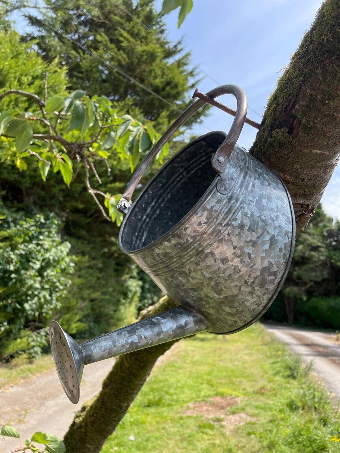 Galvanised Watering Can Hanging Wall Planter | Outdoor Garden Metal Steel Pot