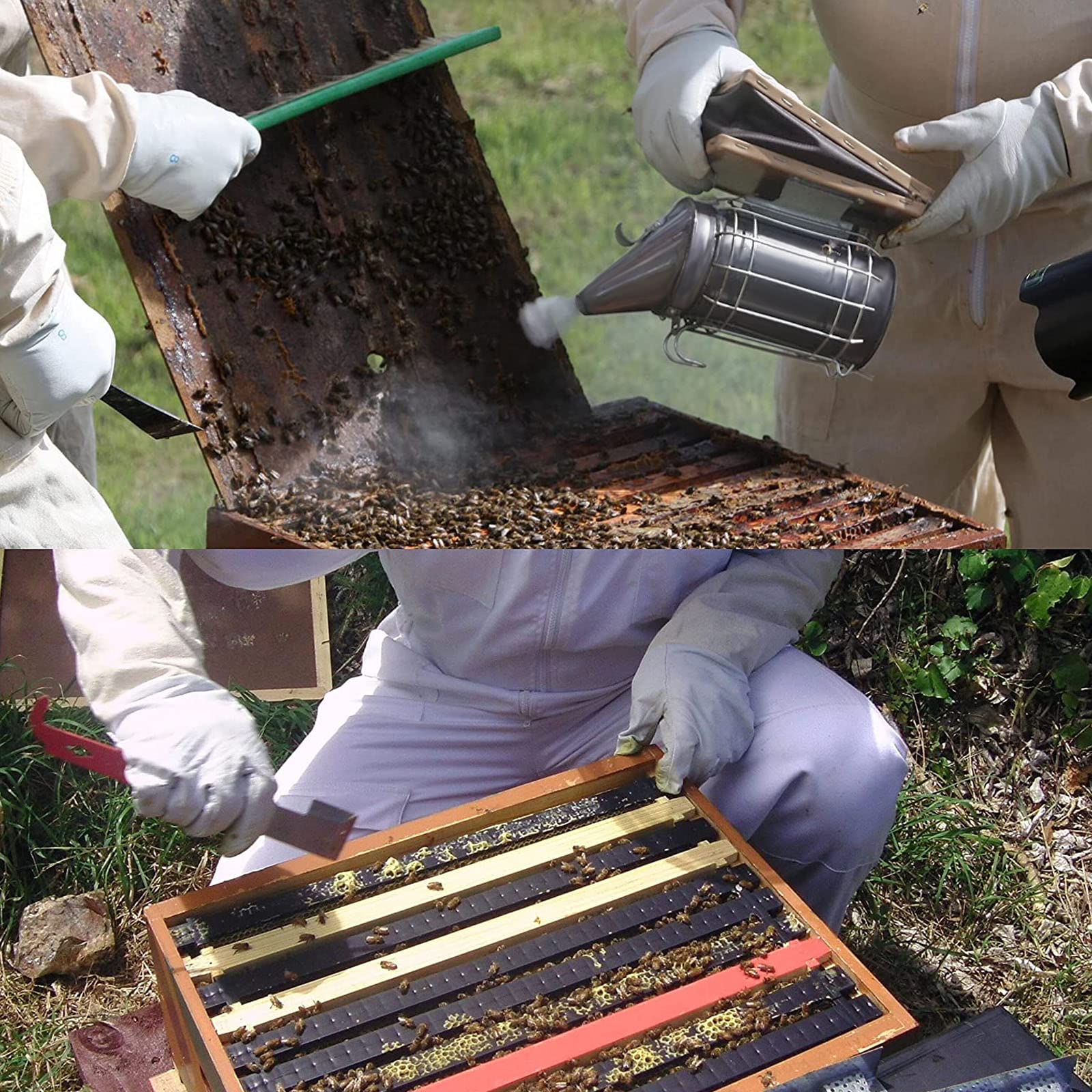 Kit de herramientas de apicultor de acero inoxidable con escudo térmico de 2 tipos de herramientas de colmena