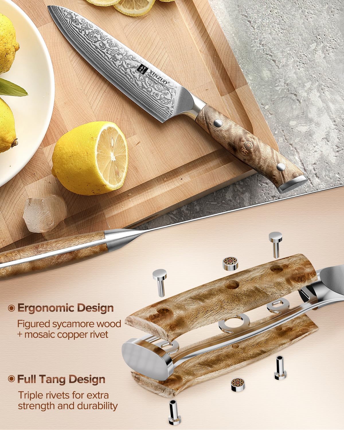 XINZUO Acero de Damasco Cuchillo Universal de Cocina 13,3cm Cuchillo para Pelar de Fruta -Mango Ergonómico de Figured Sycamore Wood -para Carne, Pescado, Fruta y Verdura -con Caja de Regalo