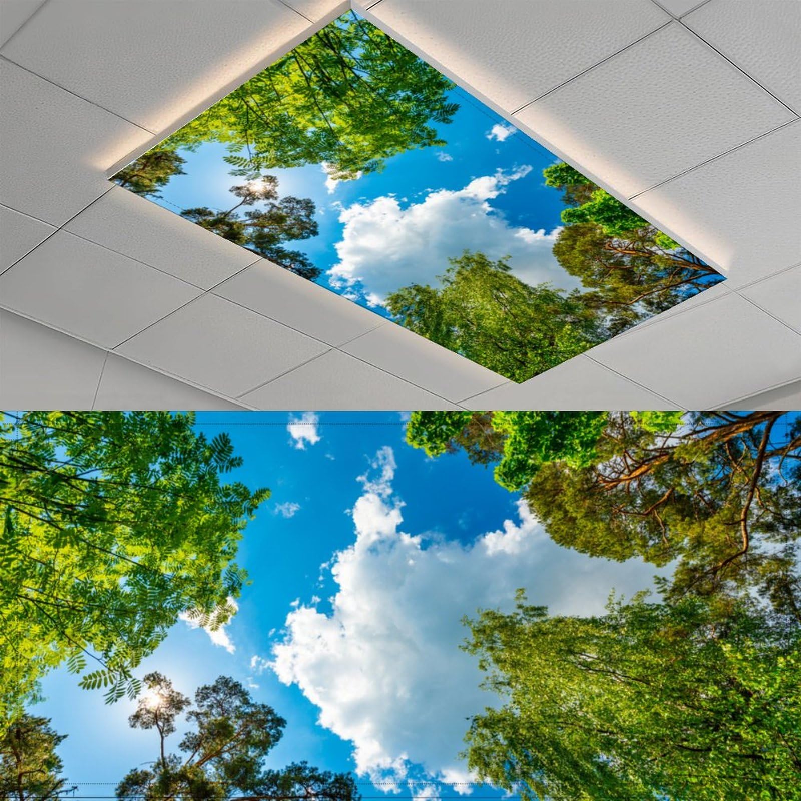 Photo 1 of 2 Pack Fluorescent Light Cover for Classroom, Green Tree Drop Ceiling Decorative Film Filter,Blue Sky Eliminate Harsh Glare Causing Eyestrain and Headaches…