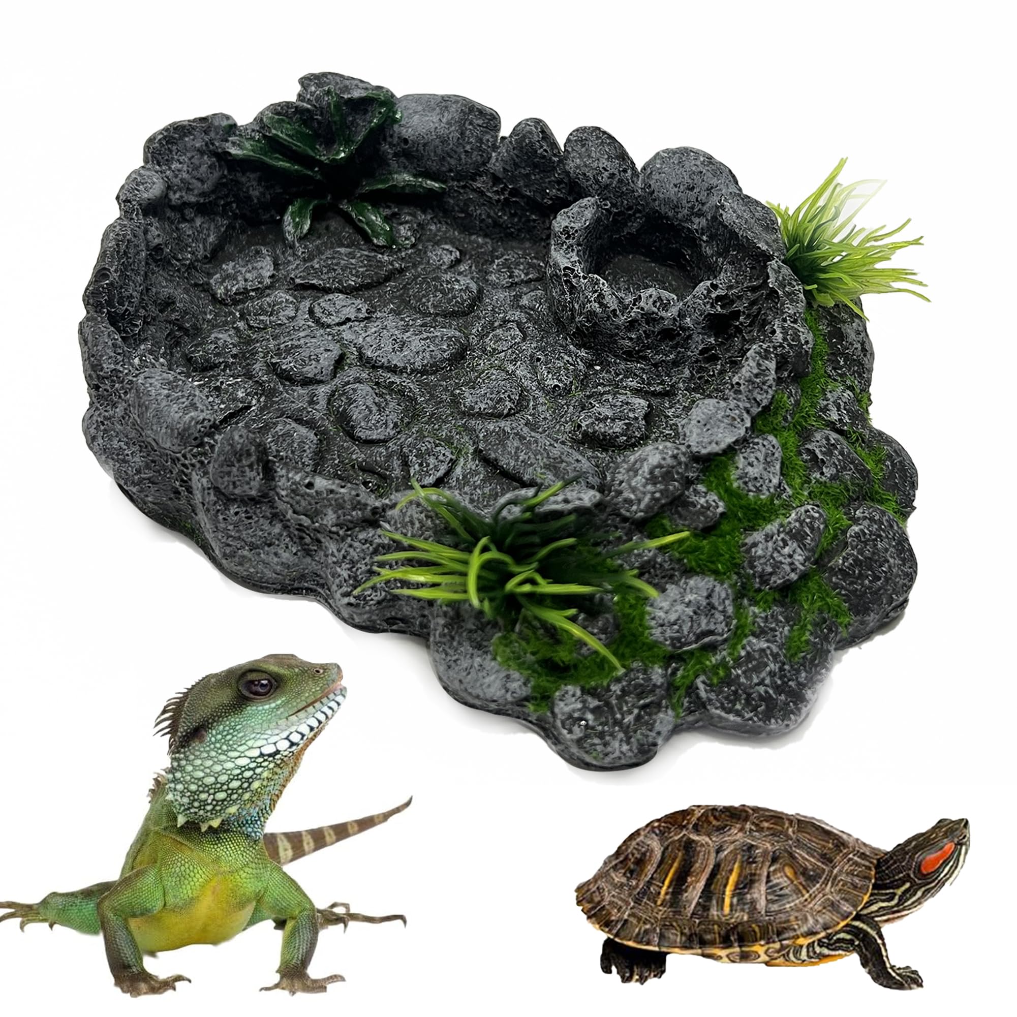 Bol eau reptile résine dragon barbu gecko grenouille noir