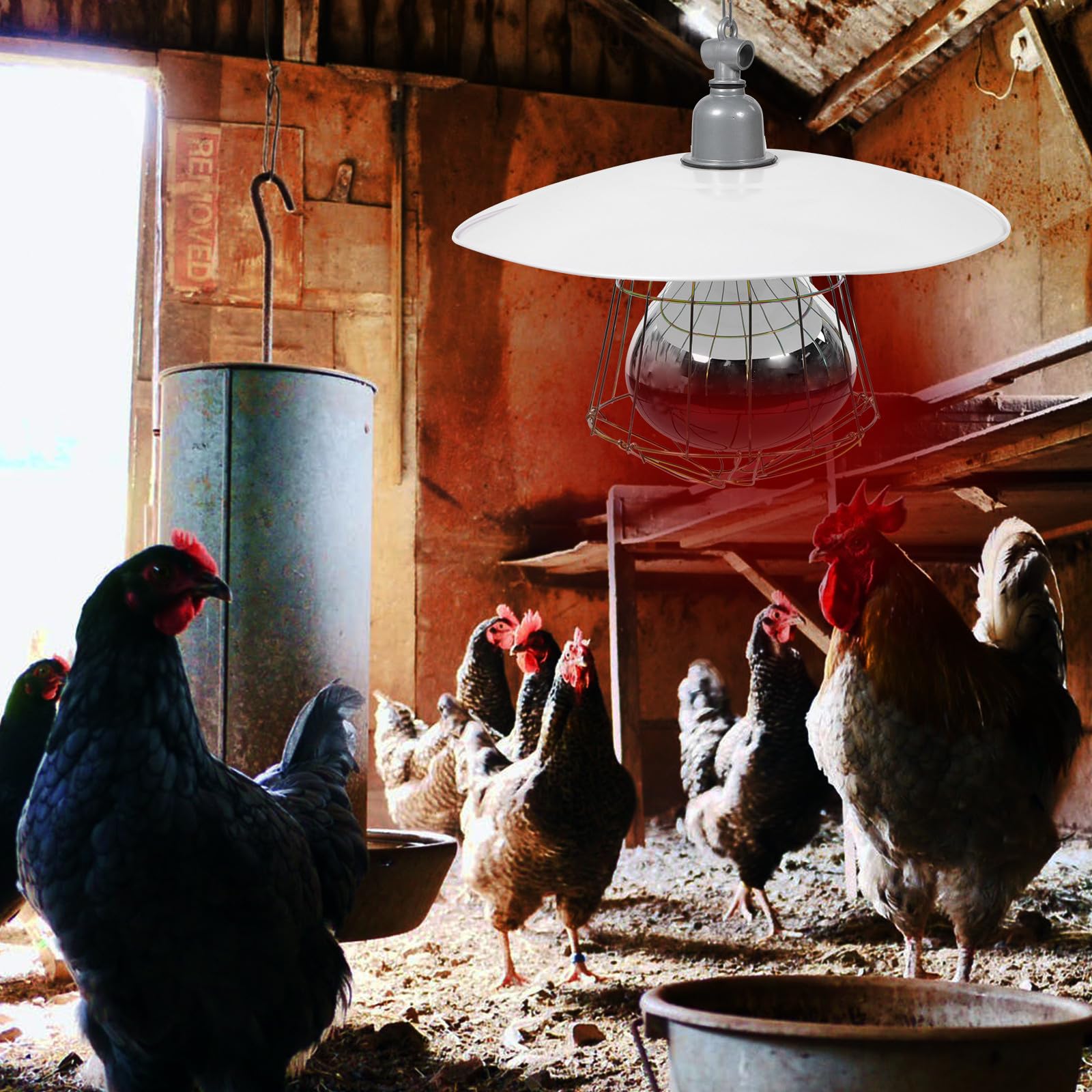 Lampada Riscaldante per Animali Bianco in Metallo Resistente Colore Casuale Non Facile da Deformare per Incubatrice di Bestiame e Gabbie per Animali Domestici