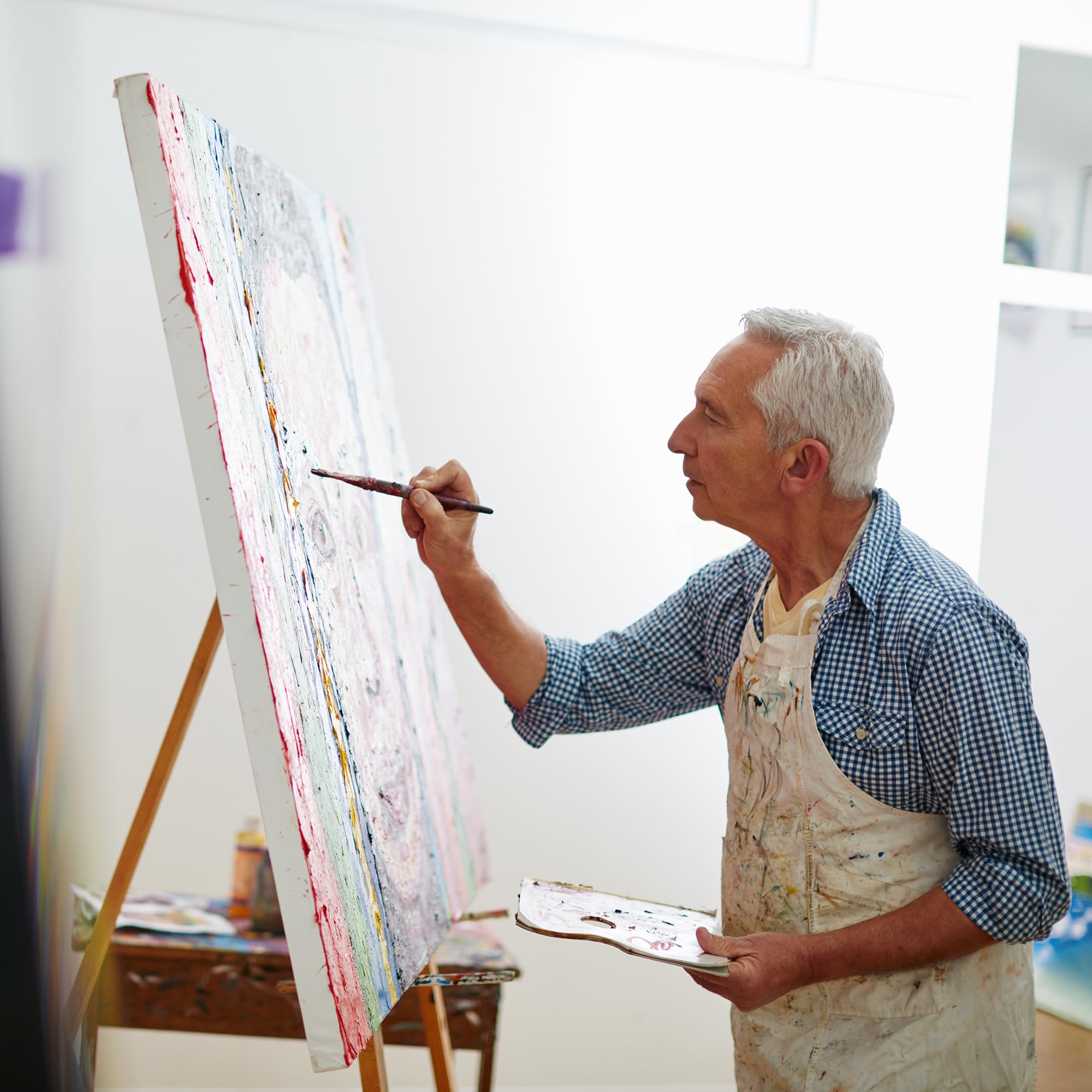 Hi-STANDARD　TM paint CANVAS Amazon.com: Trademark Fine Art Stretched Canvas for Painting