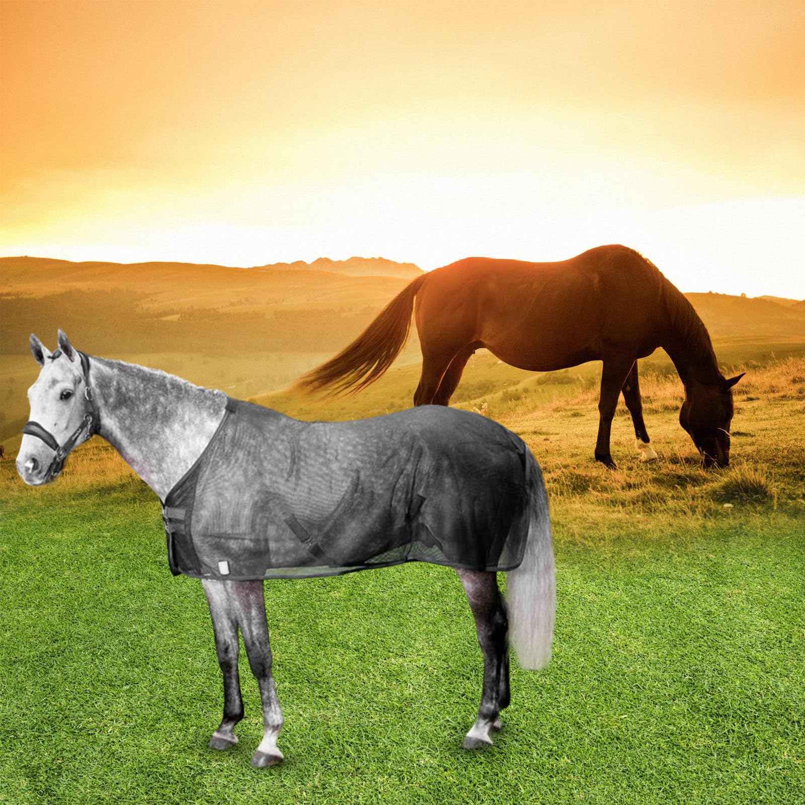 Fundas protectoras para el vientre de caballo, cubierta protectora para caballo, cubierta protectora para el abdomen de caballo, cubierta protectora para el abdomen de caballo