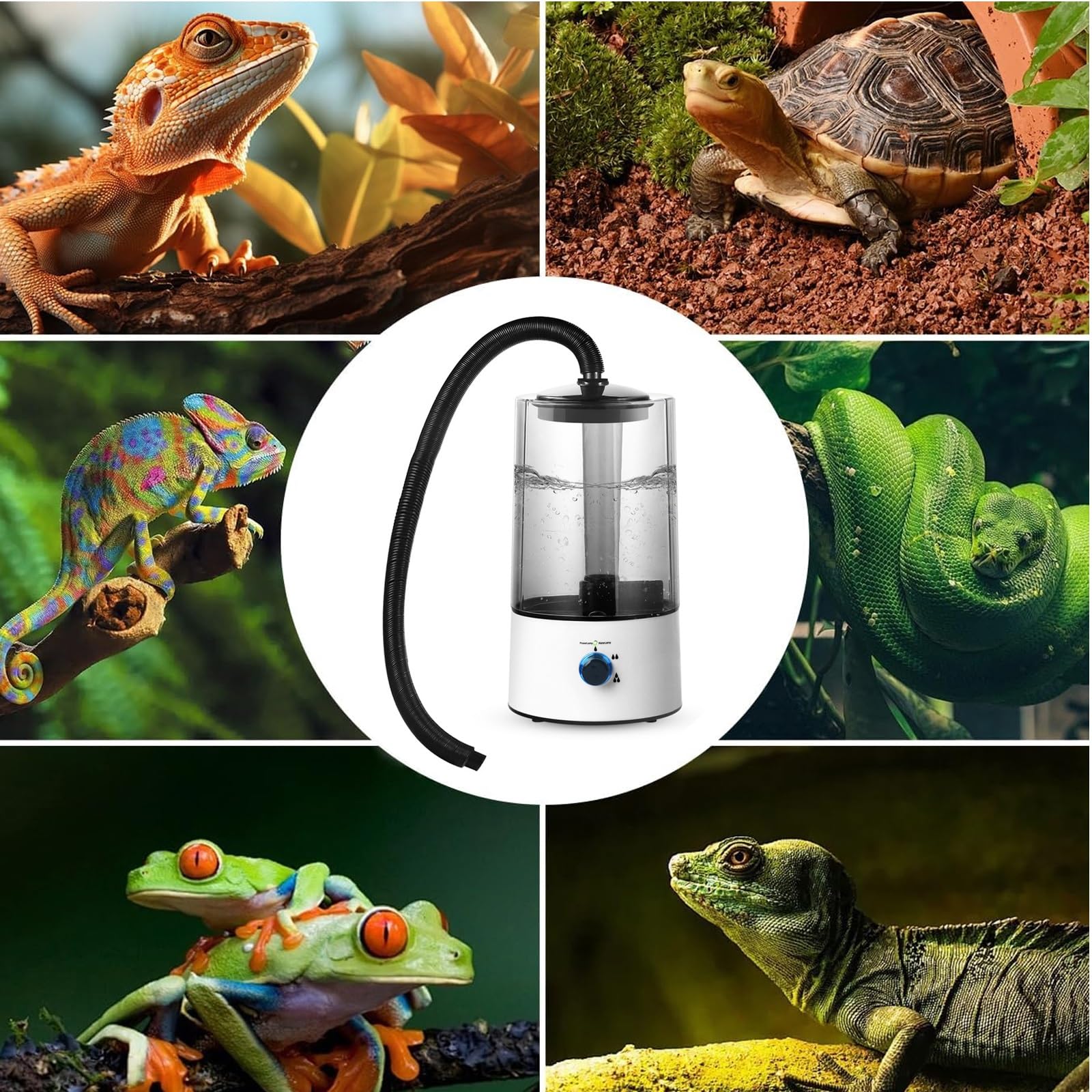 Humidificador nebulizador para Reptiles, humidificador para terrarios con Tanque nebulizador de 4L para Reptiles, paludarios y Anfibios.