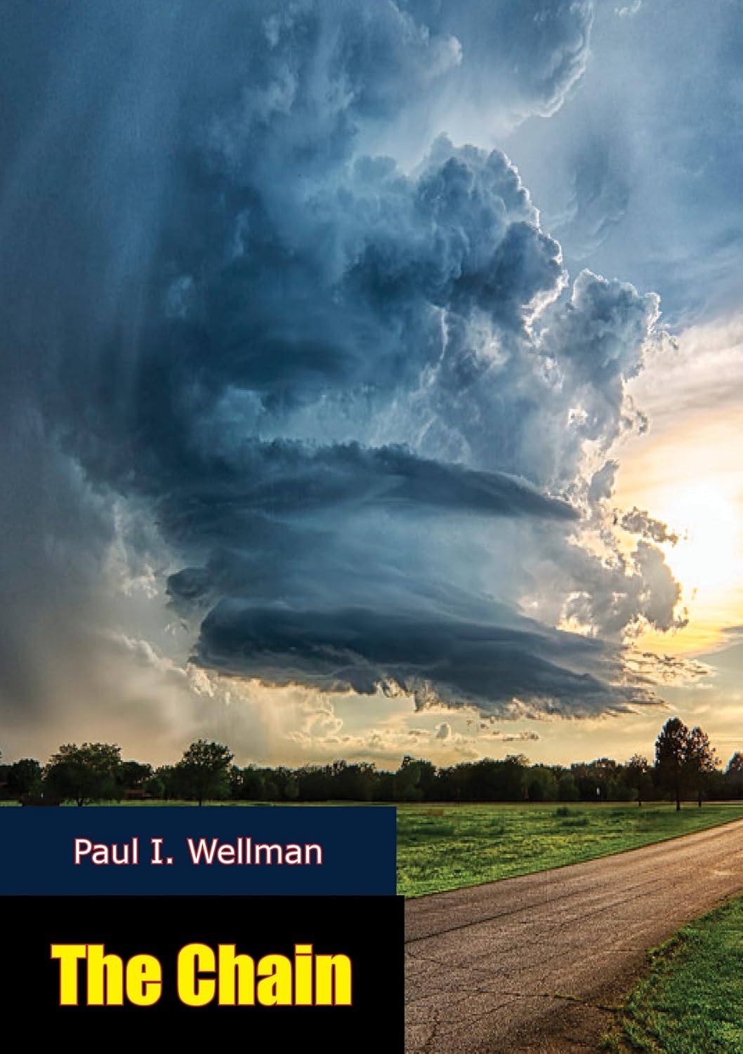 The Chain Kindle edition by Wellman, Paul I.. Literature & Fiction