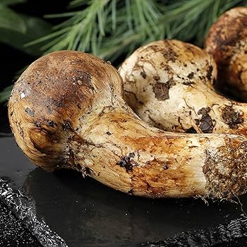 新鮮マツタケ Amazon.co.jp: 新鮮 松茸 まつたけ マツタケ 中国産 高原、原生