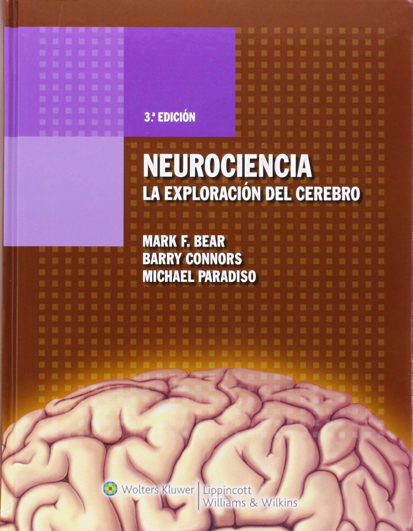 Neurociencia: explorando el cerebro