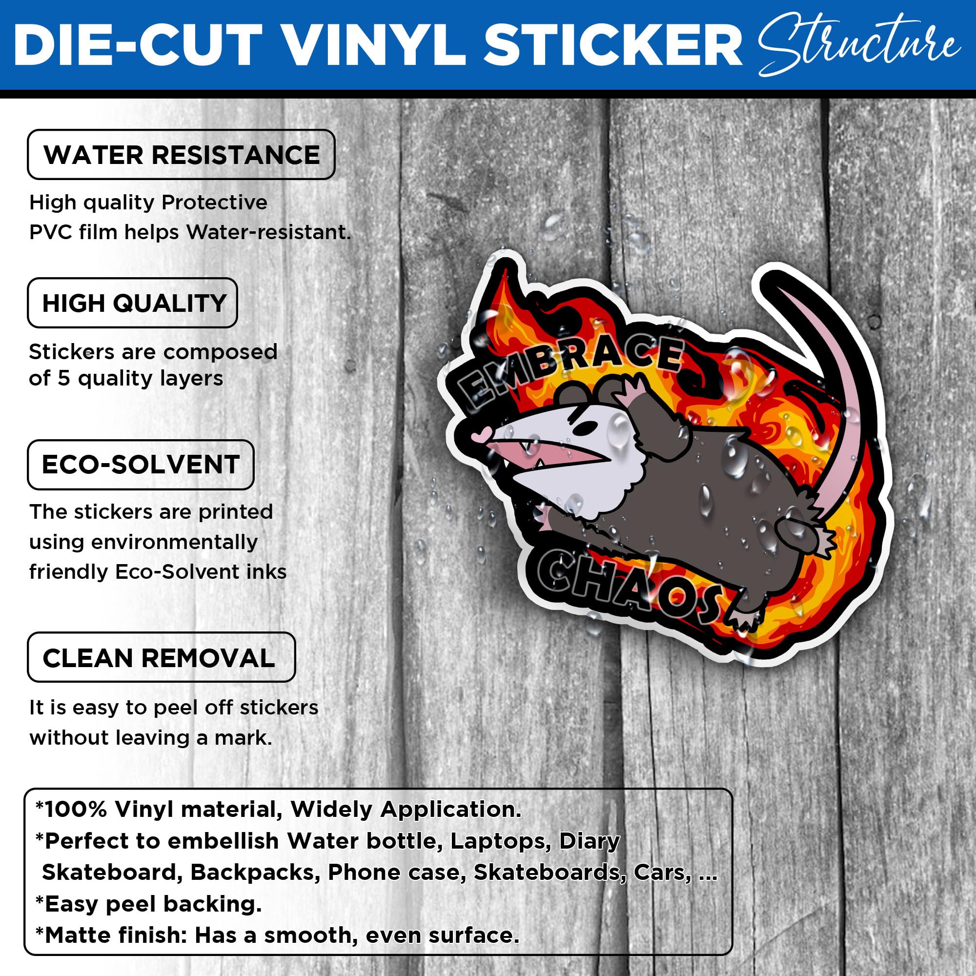 Amazon.com: Set 3PCS - Possum Embrace Chaos Choose Violence