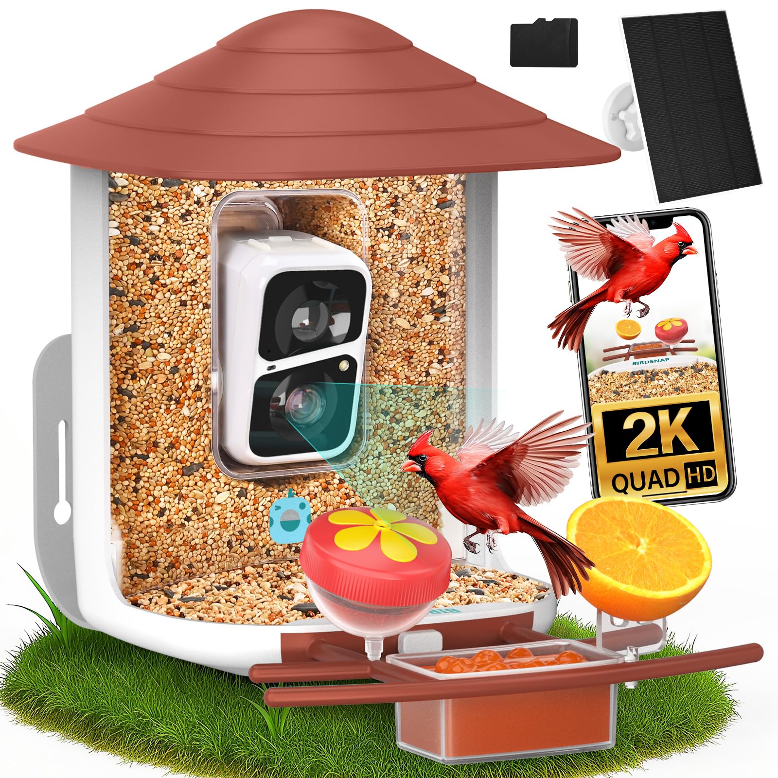 birdsnap TUC Bird Feeder