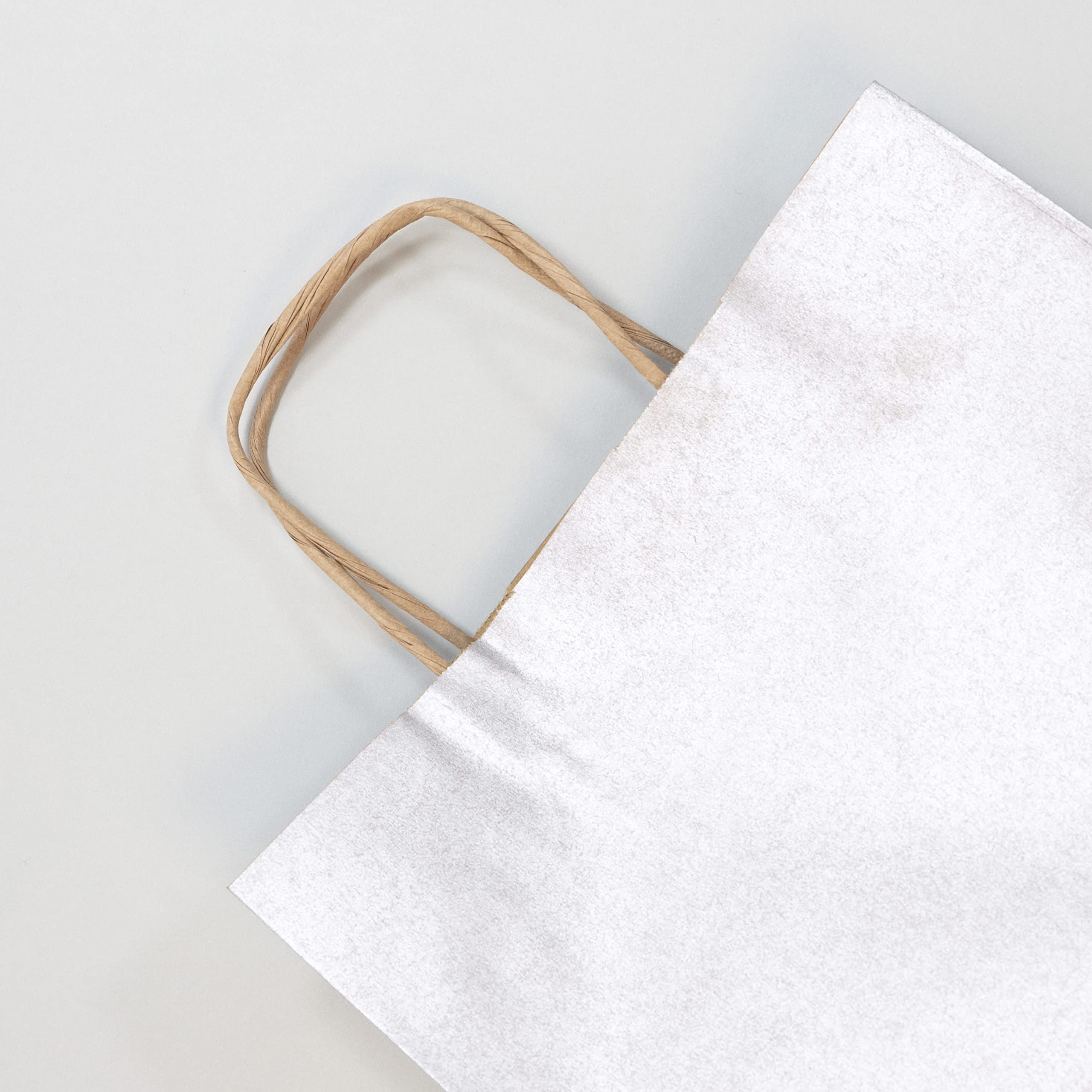 Clairefontaine 395711C, A Pack Of 25 Kraft Gift Bags, 22x10x27cm, 100g, Colour : Silver, Twisted Handles - Image 2