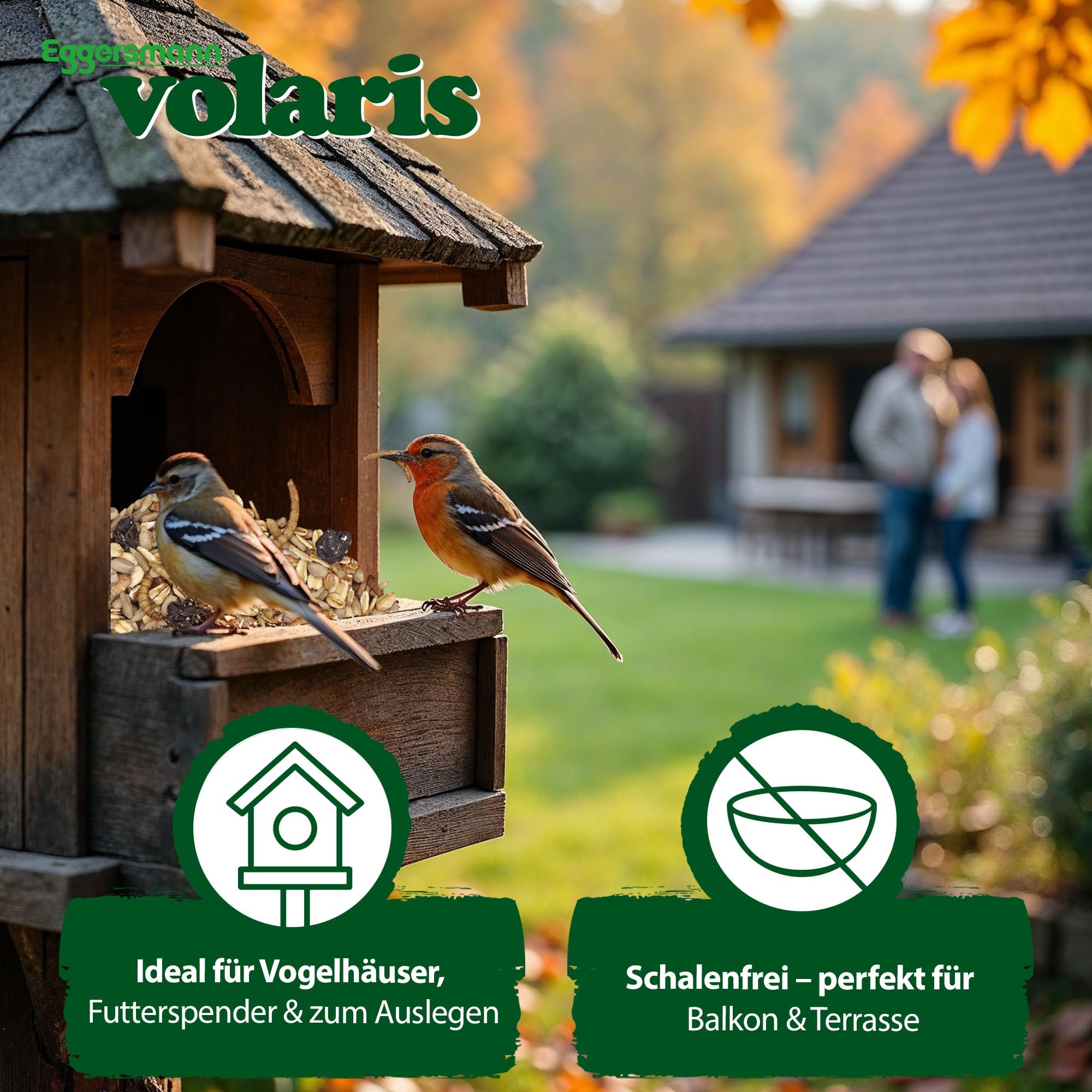 Eggersmann volaris Terrassenkörner mit Insekten 10 kg – Schalenfreies Wildvogelfutter mit Mehlwürmern, Sonnenblumenkernen UVM. – Ganzjahresfutter, Protein- & energiereich – Streufutter für Wildvögel