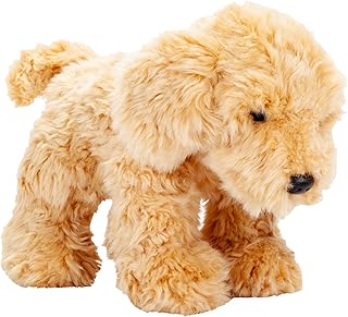 black cockapoo teddy