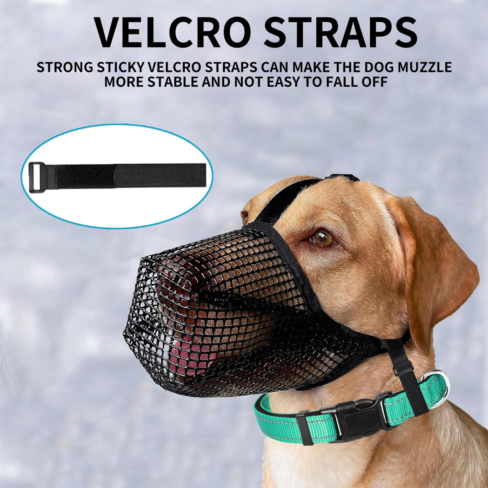 Nylon hondenmuilkorf voor kleine, middelgrote en grote honden, luchtgaas, ademende en drinkbare muilkorf voor huisdieren tegen bijten en blaffen (zwart, XS Nylon hondenmuilkorf voor kleine, middelgrote en grote honden, luchtgaas, ademende en drinkbare muilkorf voor huisdieren tegen bijten en blaffen (zwart, XS
