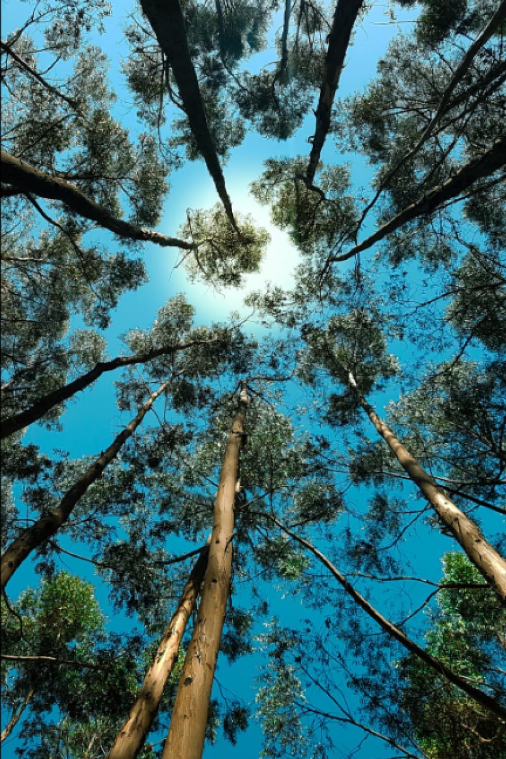 School 6x9 Notebook Freefall Summer Tree