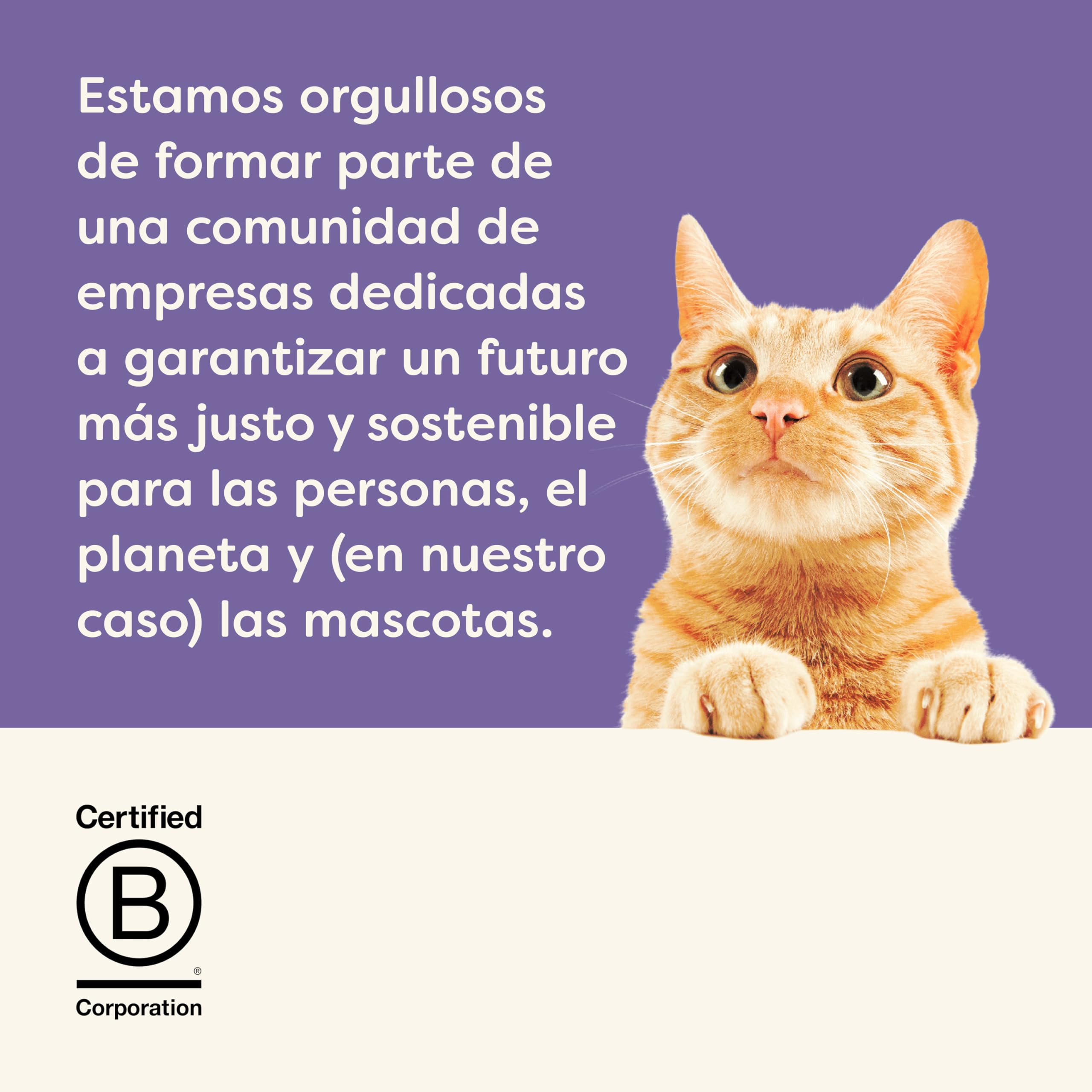 Applaws 100 % Natural cremoso lickable sin Cereales Snack para Gatos y Gatitos, Pack Variedad, 32 × 15 g Sobres