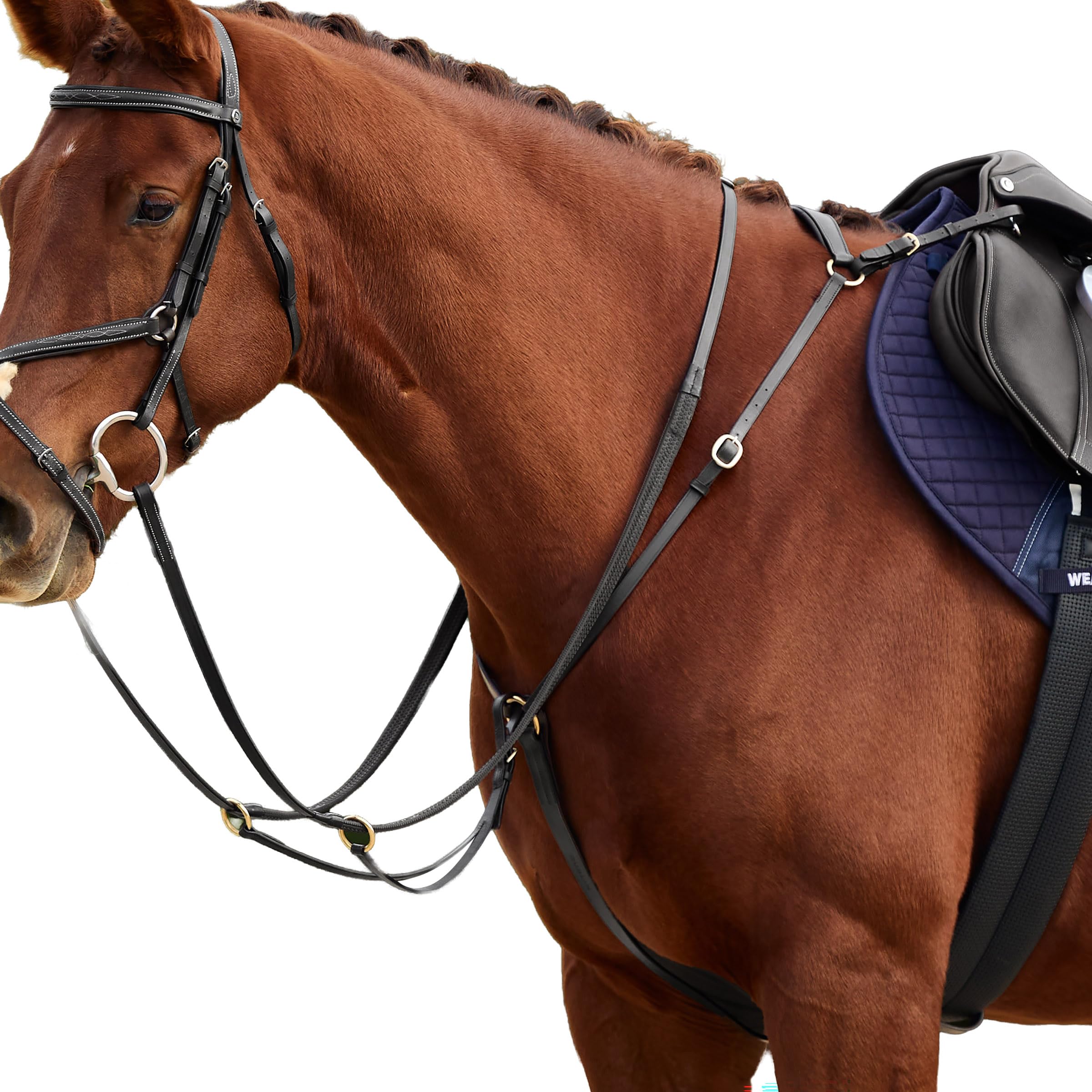 Dublin 3-Point Breastplate, Black, Cob