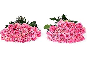 50 Stems of Pink Roses: Vibrant Flowers in Bulk for All Occasions