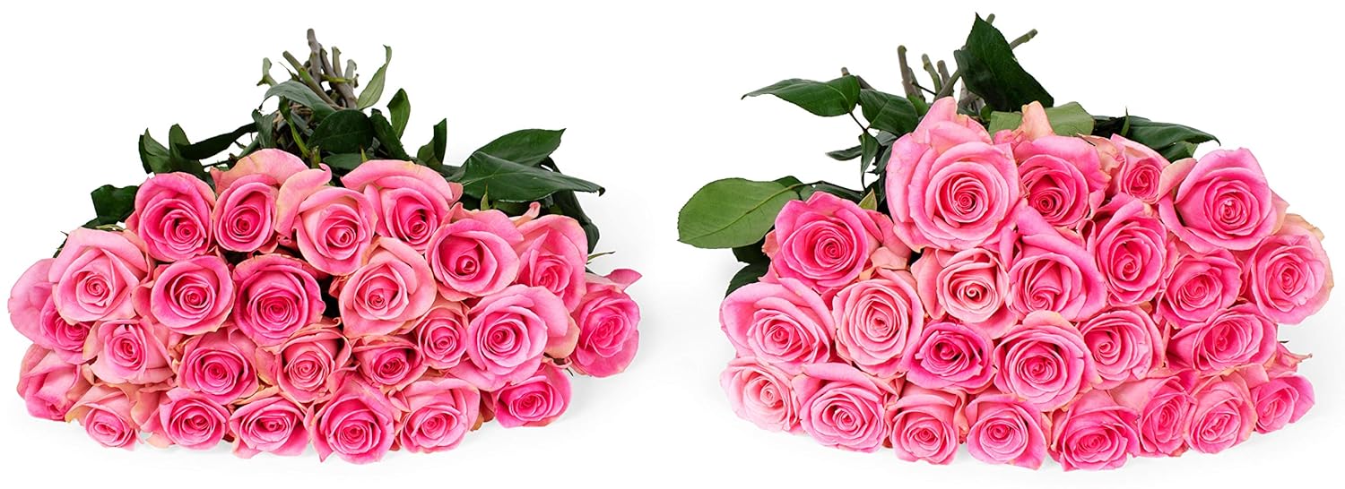 BENCHMARK BOUQUETS 50 Stems of Pink Roses, Prime
