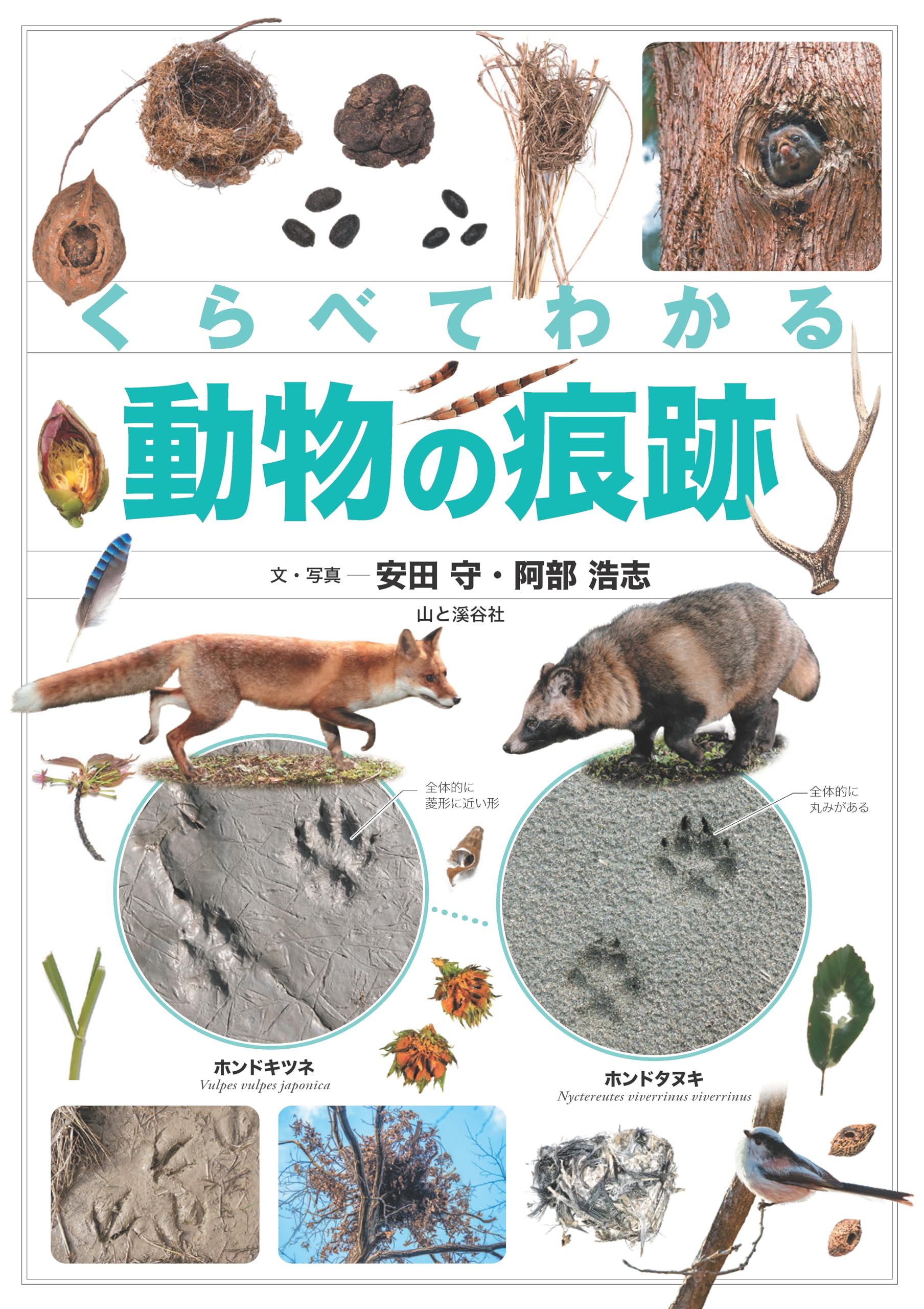 くらべてわかる動物の痕跡 (くらべてわかる図鑑) | 安田 守, 阿部 浩志