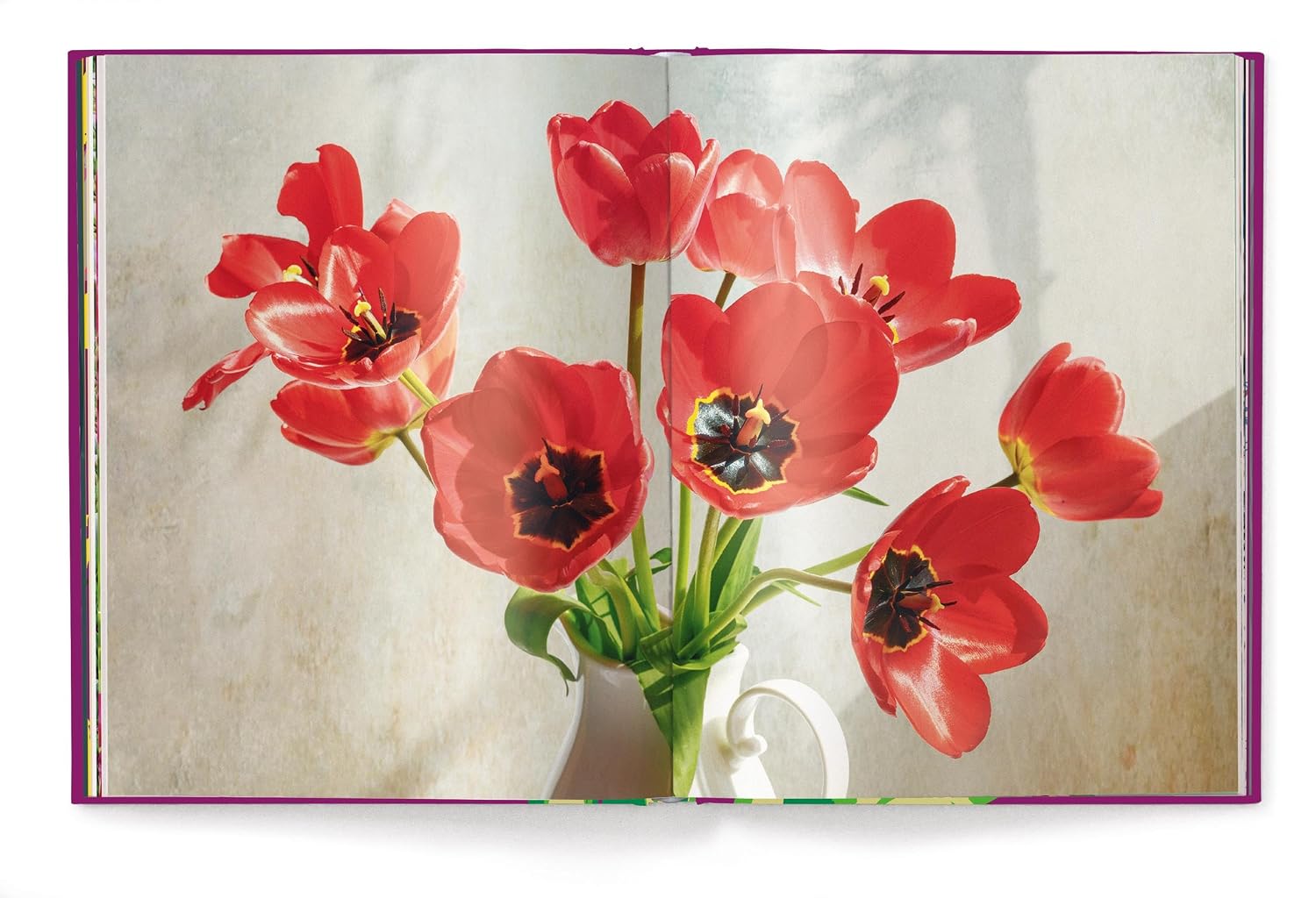 Tulips (Floramour)