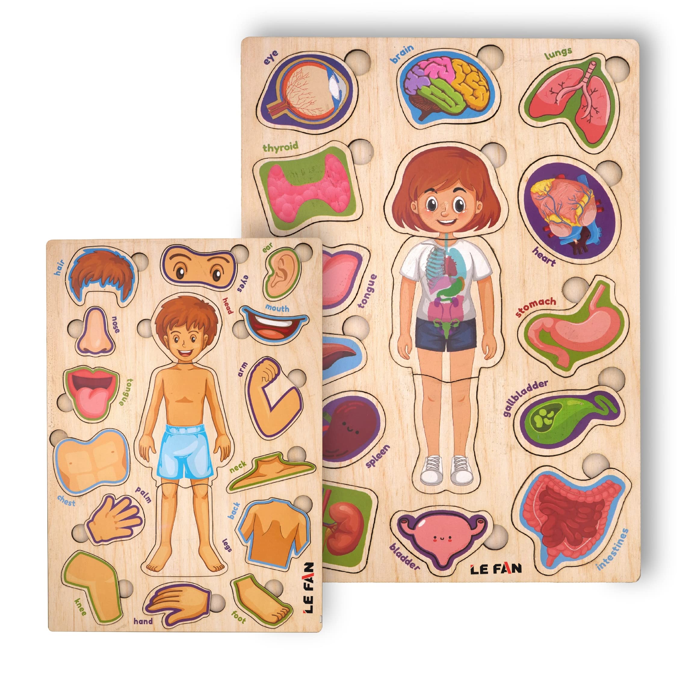 Lefan� Body Part Wooden Puzzle Kids Games Toys for Kids 3+ Jigsaw Puzzles for Adults Baby Learning Toys Educational Toys for 2 Board Game