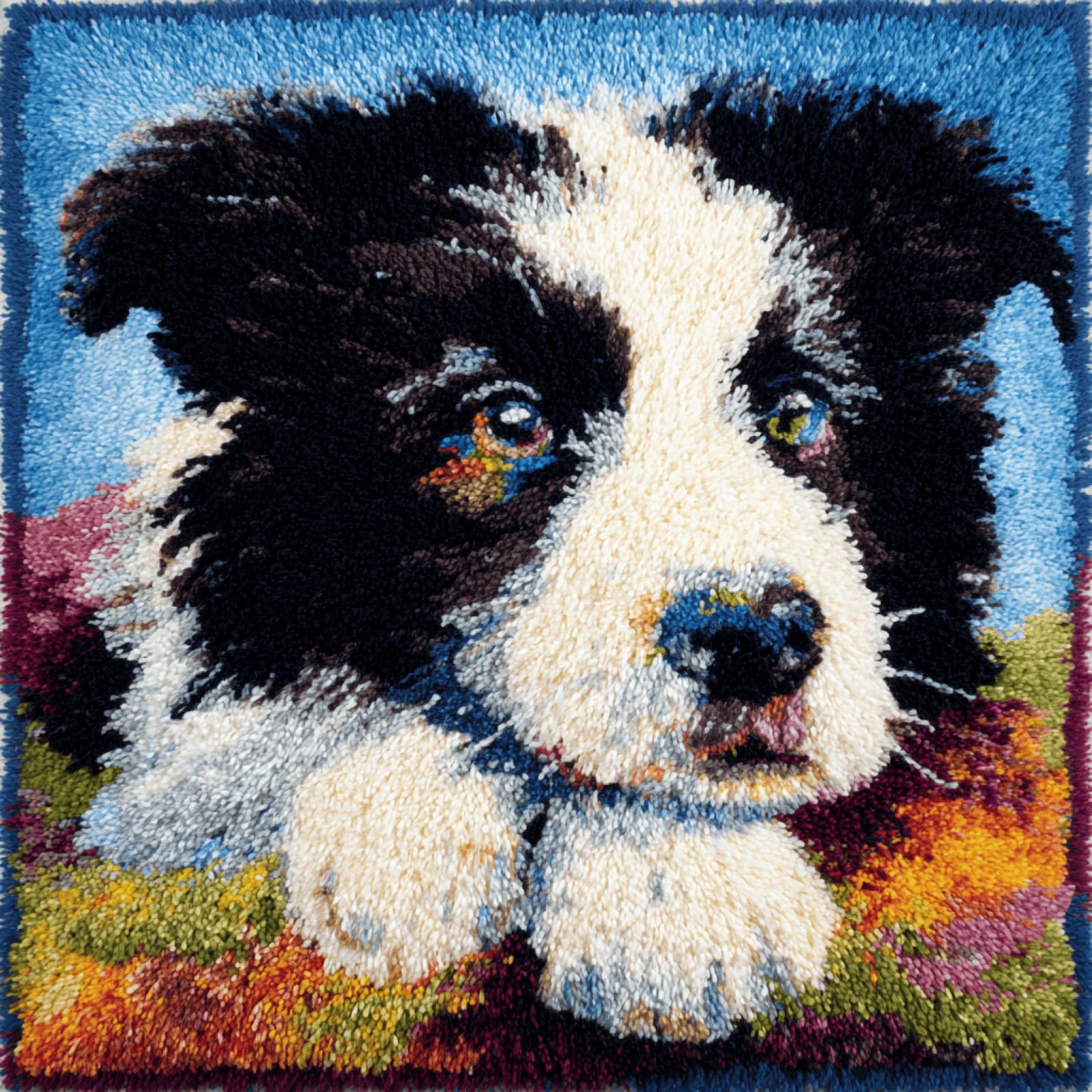Taxpy Latch Hook Cushion Kit,Border Collie,17x17 Inch Latch Hook Pillow Kit for Adults Beginners,Pre-Printed Canvas,Pre-Cut Yarn and Tool Included,DIY Cushion Cover Craft Kit for Home Décor Gift