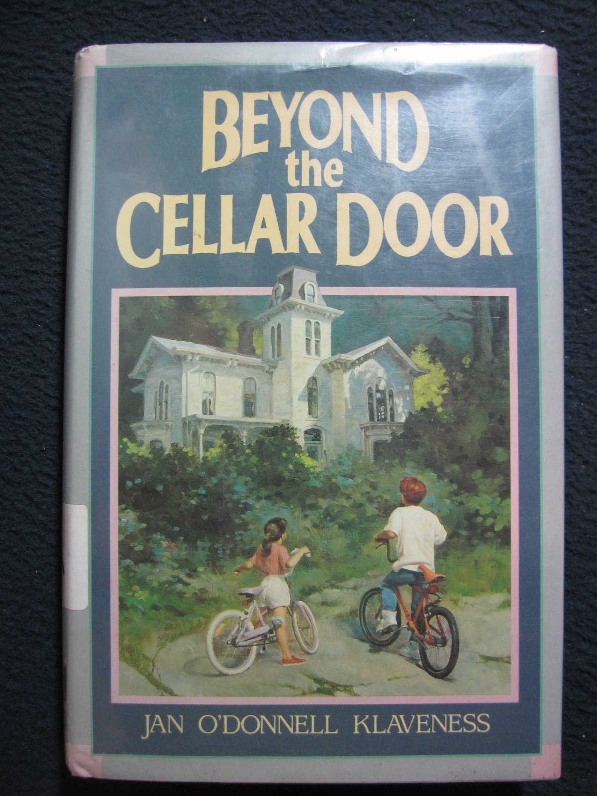 Cover of Beyond the Cellar Door