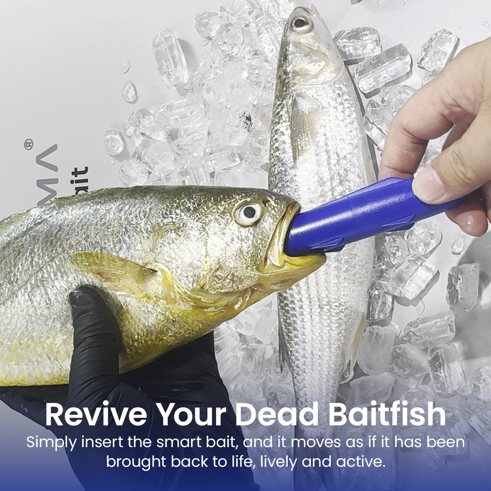 KANAMA Smart Bait Pro X – Señuelo de Pesca Electrónico Robótico Recargable Impermeable 500 m, Reactivación de Carnada Muerta, Atún, Mero, Lucio Y Más, Agua Dulce Y Salada, 1 Juego
