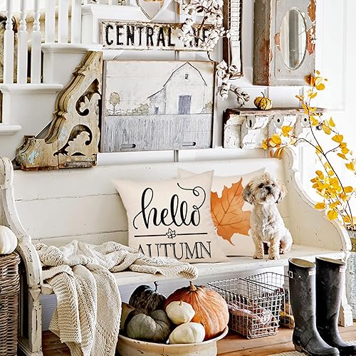 Miniatura 3 de ZWJD Fundas de almohada de otoño, juego de 4 almohadas decorativas de 18 x 18 pulgadas con calabaza, hojas de arce y diseños de Hello Autumn para