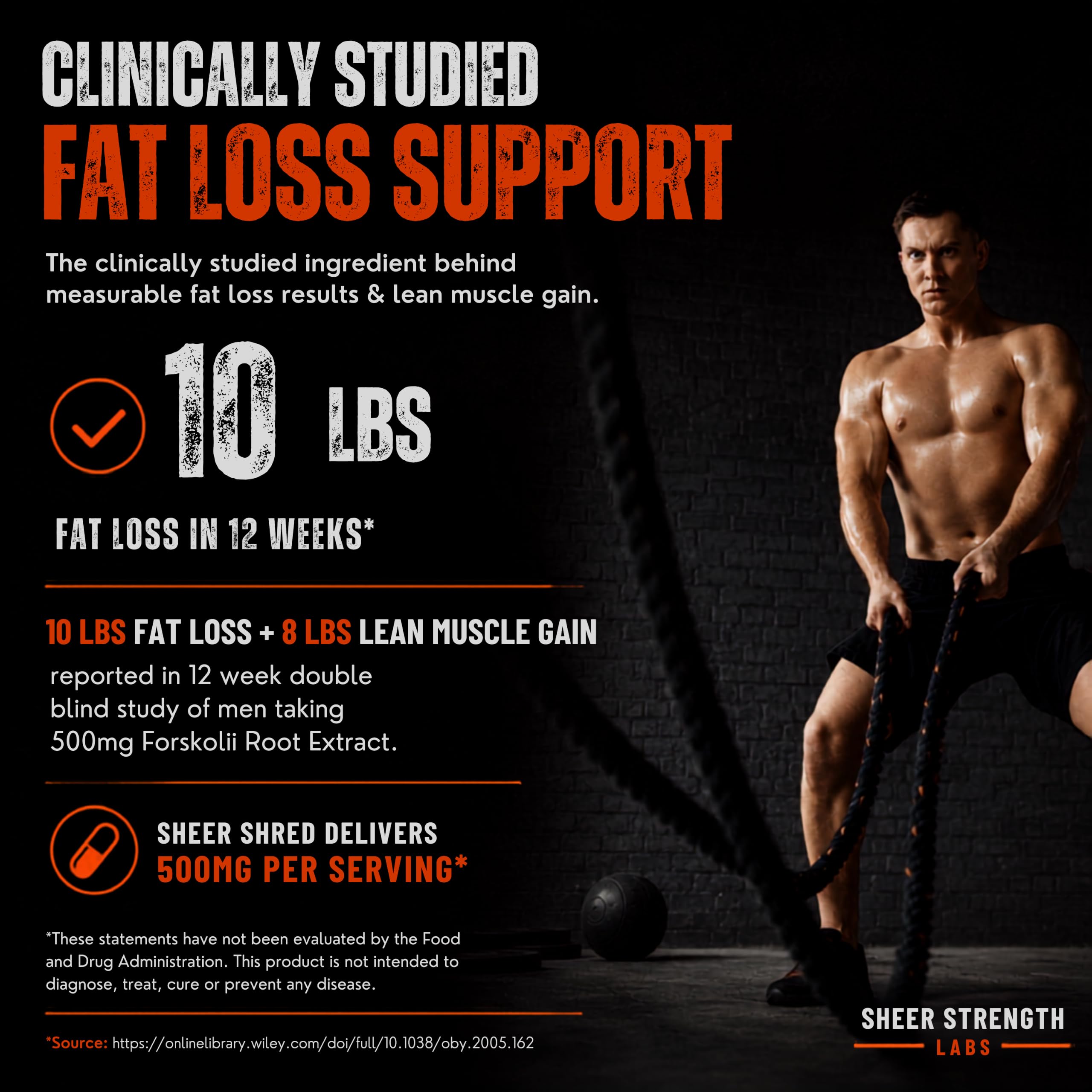 Fat Burner for Men with Clinical Dose Forskohlii, L-Carnitine, & Capsacin — Amazon image 3