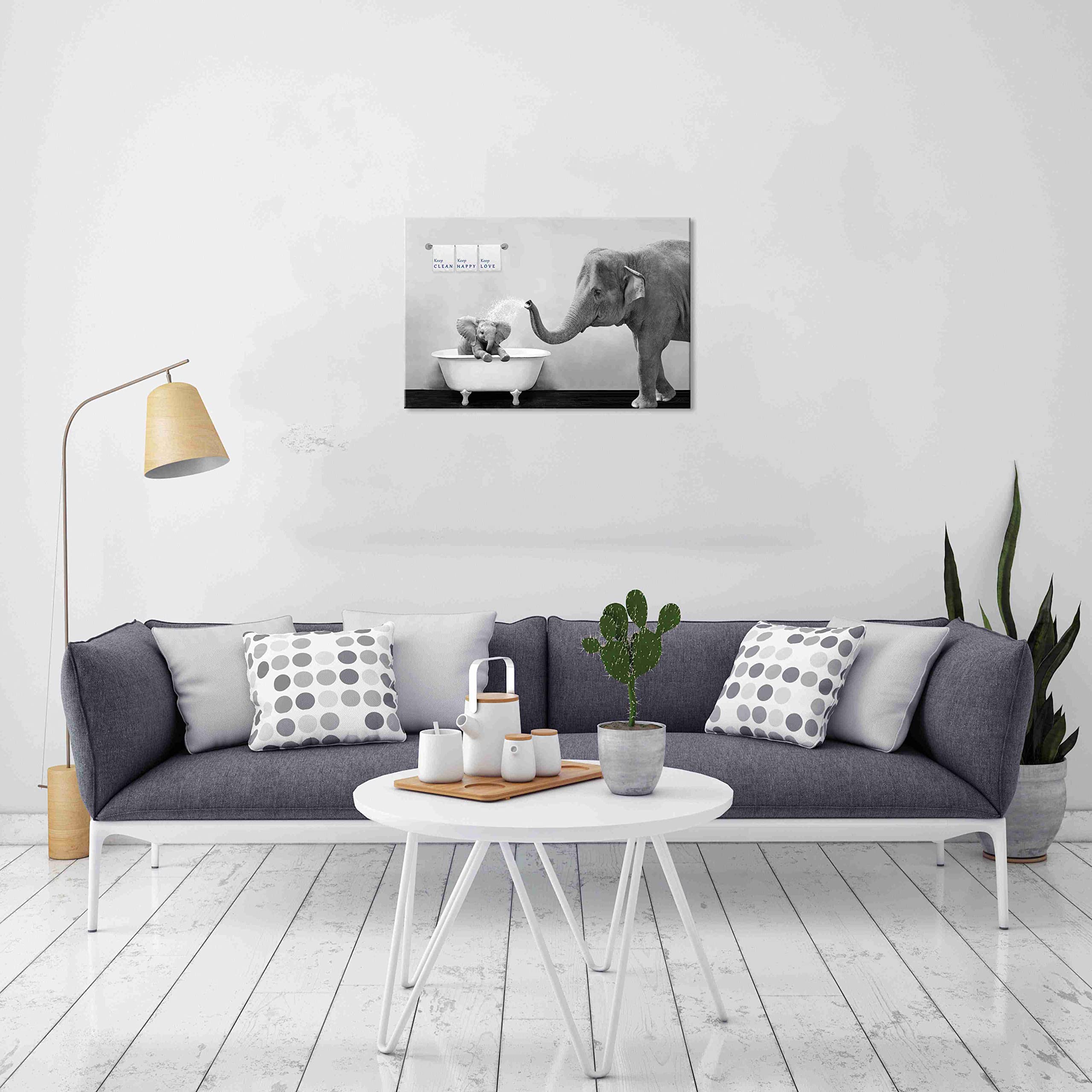 https://m.media-amazon.com/images/I/81ahwQ+ruXL.jpg