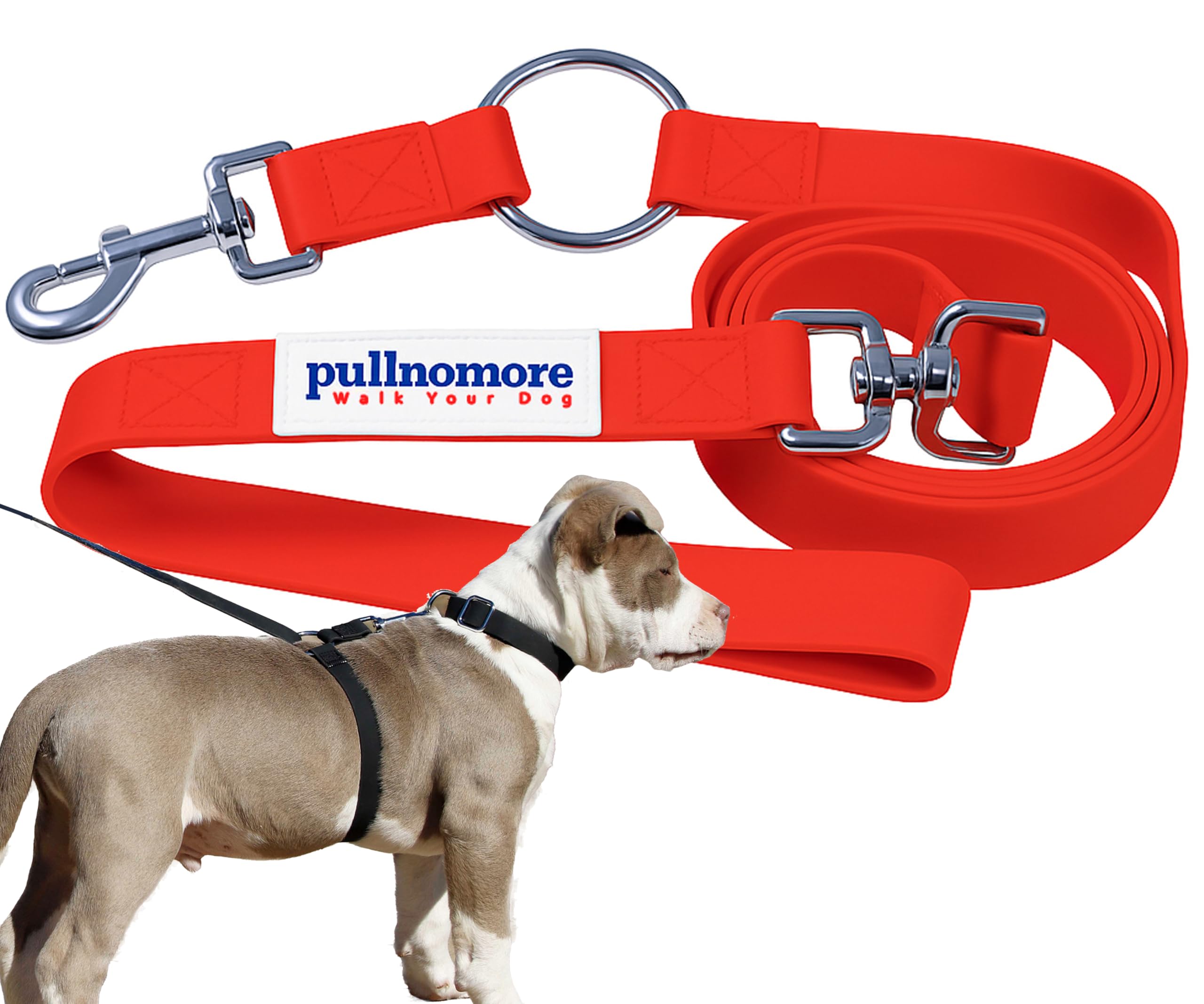 No-Pull Dog Leash, Chew Resistant, Waterproof, Durable PVC Material, Multiple Sizes and Colors (Red, Large)