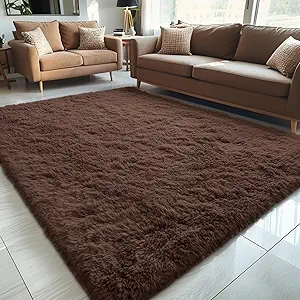 OLANLY 5x7 Machine Washable Large Area Rugs for Living Room, Bedroom, Soft Fluffy Shaggy Bedside Rug, Indoor Floor Carpet for Kids Girls and Boys, Dorms, Nursery, Home Decor Aesthetic, Coffee