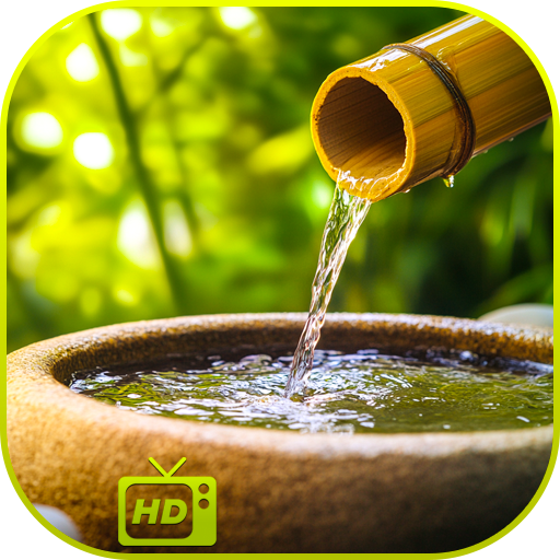 Bamboo Water Fountain Ambience