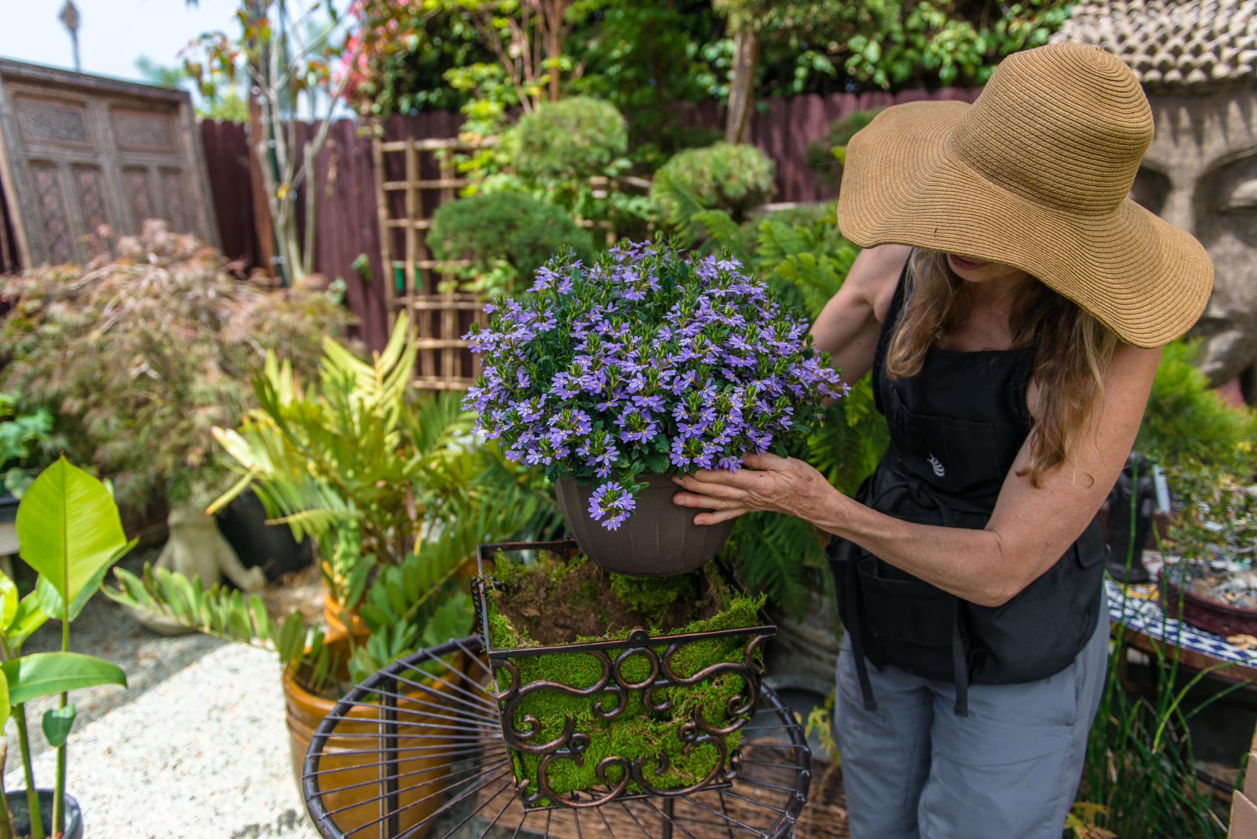 SuperMoss (21559) Sheet Moss Preserved, Natural Green, 25lbs Box