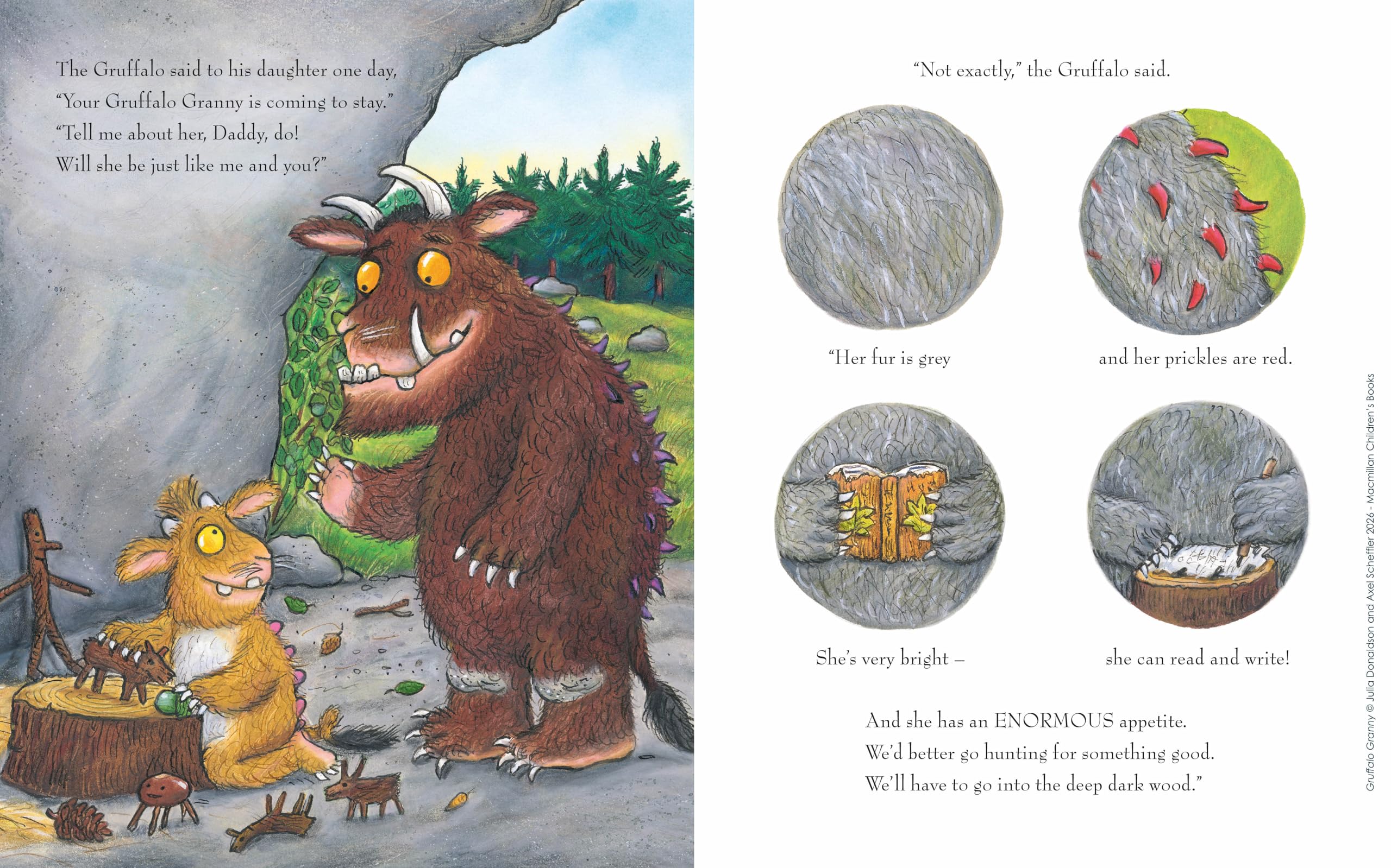 New Gruffalo Picture Book