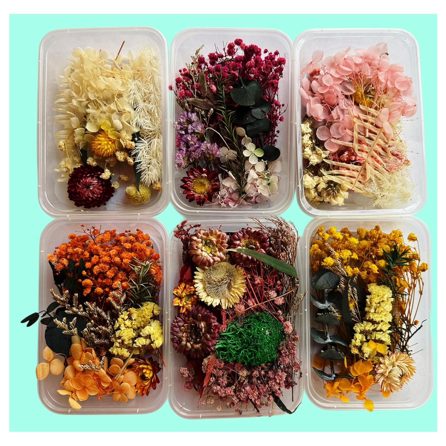 Prescent Natural Real Dried Flowers for Art Craft Mixed Soap, Candle, Scrapbook, DIY, Resin Tray Jewellery, Pendant Making and Much More (Multicolor - Random 1 Box)-image-30