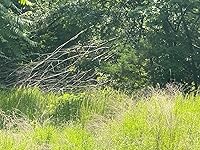 Review Image by I bought this screen protector and guard due to the reviews. Well I do not get what others got. The screen protector did not stick. After multiple attempts at applying the screen protector I gave up as there was lint on the stick side so it was of no use to me. The screen guard worked as detailed in the description. I can not send back as the screen protector is essentially destroyed. Will not buy again from this vendor. I bought this screen protector and guard due to the reviews. Well I do not get what others got. The screen protector did not stick. After multiple attempts at applying the screen protector I gave up as there was lint on the stick side so it was of no use to me. The screen guard worked as detailed in the description. I can not send back as the screen protector is essentially destroyed. Will not buy again from this vendor.