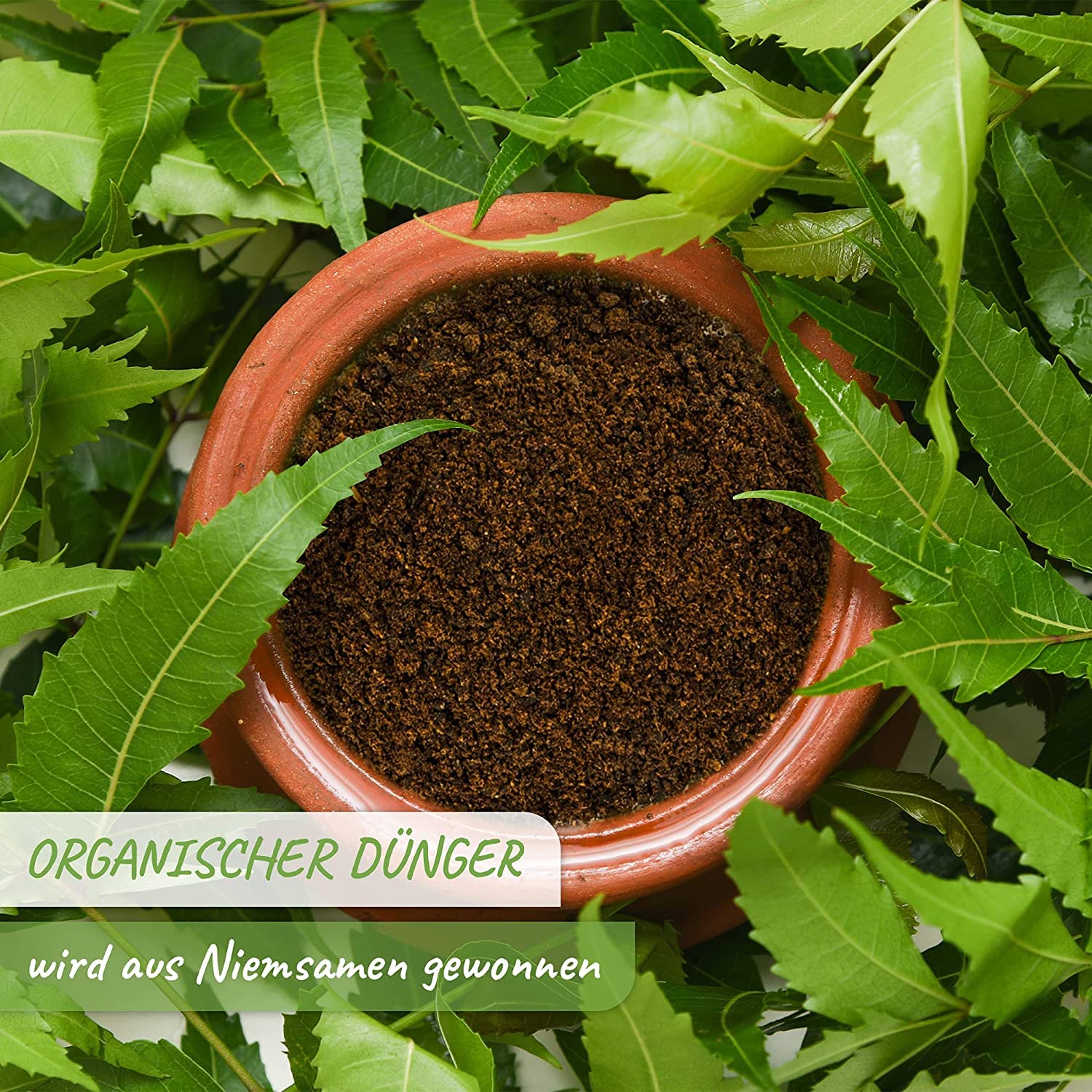 Neem Cake Powder 1kg From Erlesene Naturprodukte | Desertcart Belize