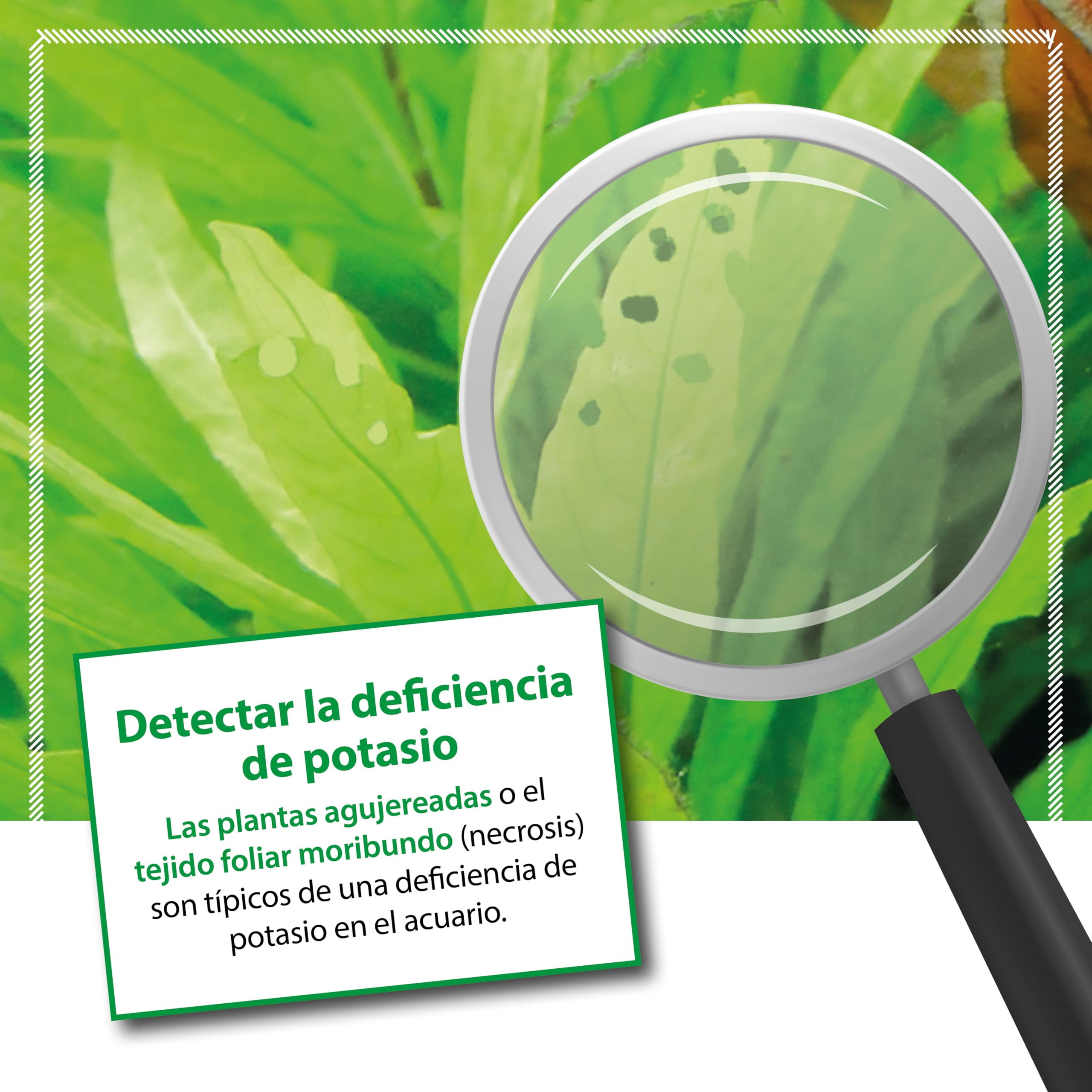 ARKA Plants K – Fertilizante líquido de potasio para Plantas de Acuario, Altamente Concentrado, Transparent