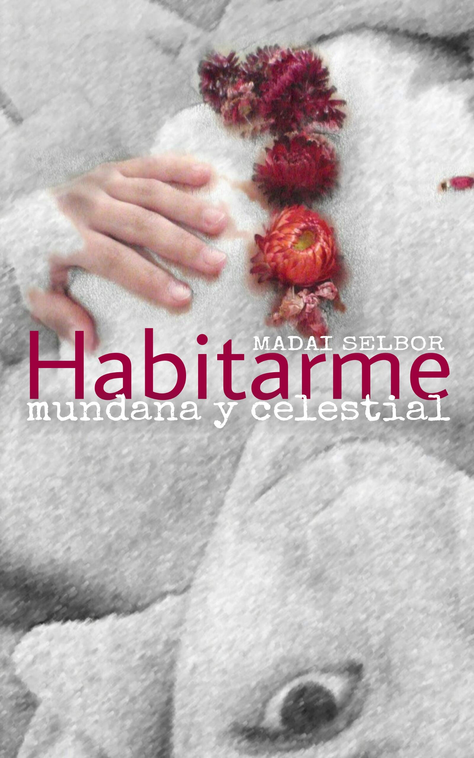 Habitarme : mundana y celestial (Spanish Edition)